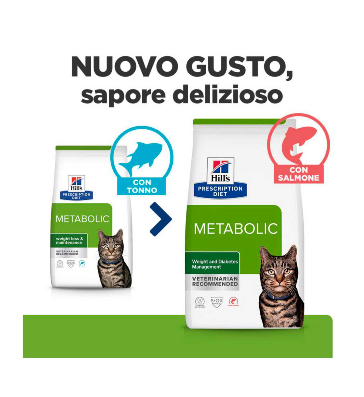 HILLS609910_11__Server-Mago_Mago4_Custom_Companies_ZOOEXPERT_SRL_Applications_ERP_Items_Files_Images_AllUsers_609910_40.jpg HILLS609910 picture