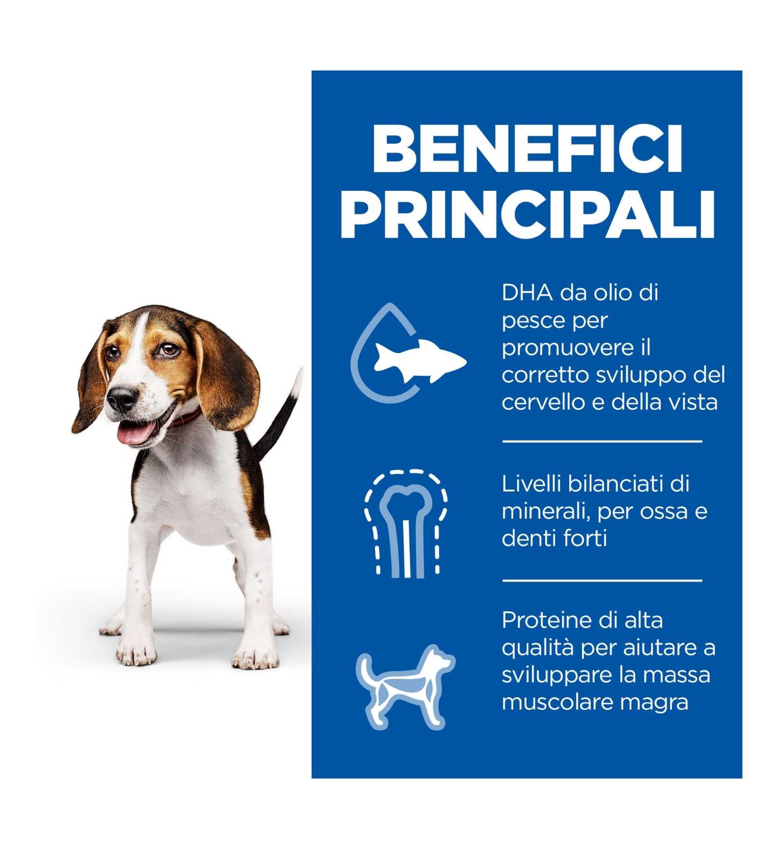 HILLS8036M_4__Server-Mago_Mago4_Custom_Companies_ZOOEXPERT_SRL_Applications_ERP_Items_Files_Images_AllUsers_607100_16.jpg HILLS8036M picture