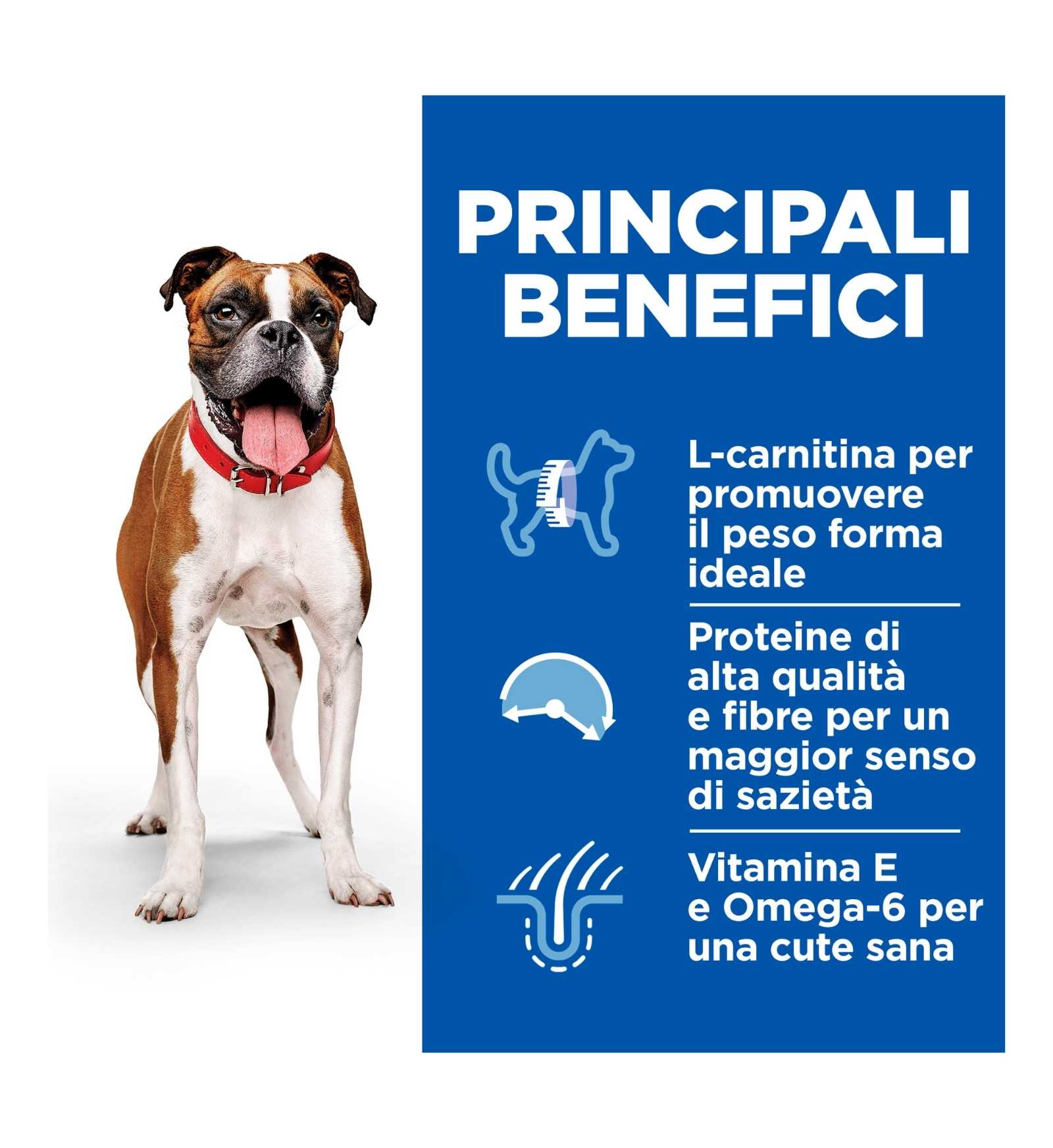 HILL'S SCIENCE PLAN CANE ADULT LIGHT AL POLLO DA 370G IN LATTINA
