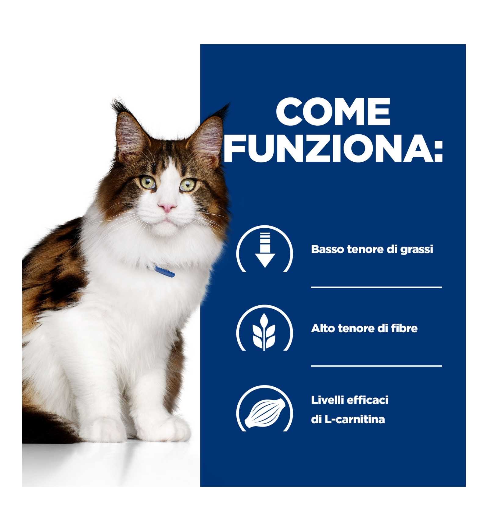 HILLS9191M_17_Image.erp.items.images.606274_17.jpg HILLS9191M picture