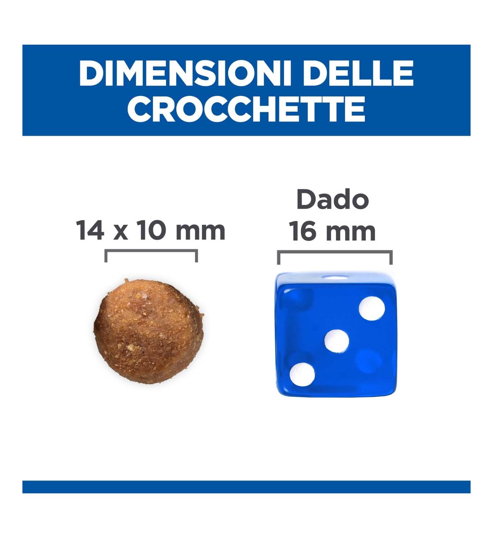 HILLS9269M_12_Image.erp.items.images.604280_12.jpg HILLS9269M picture