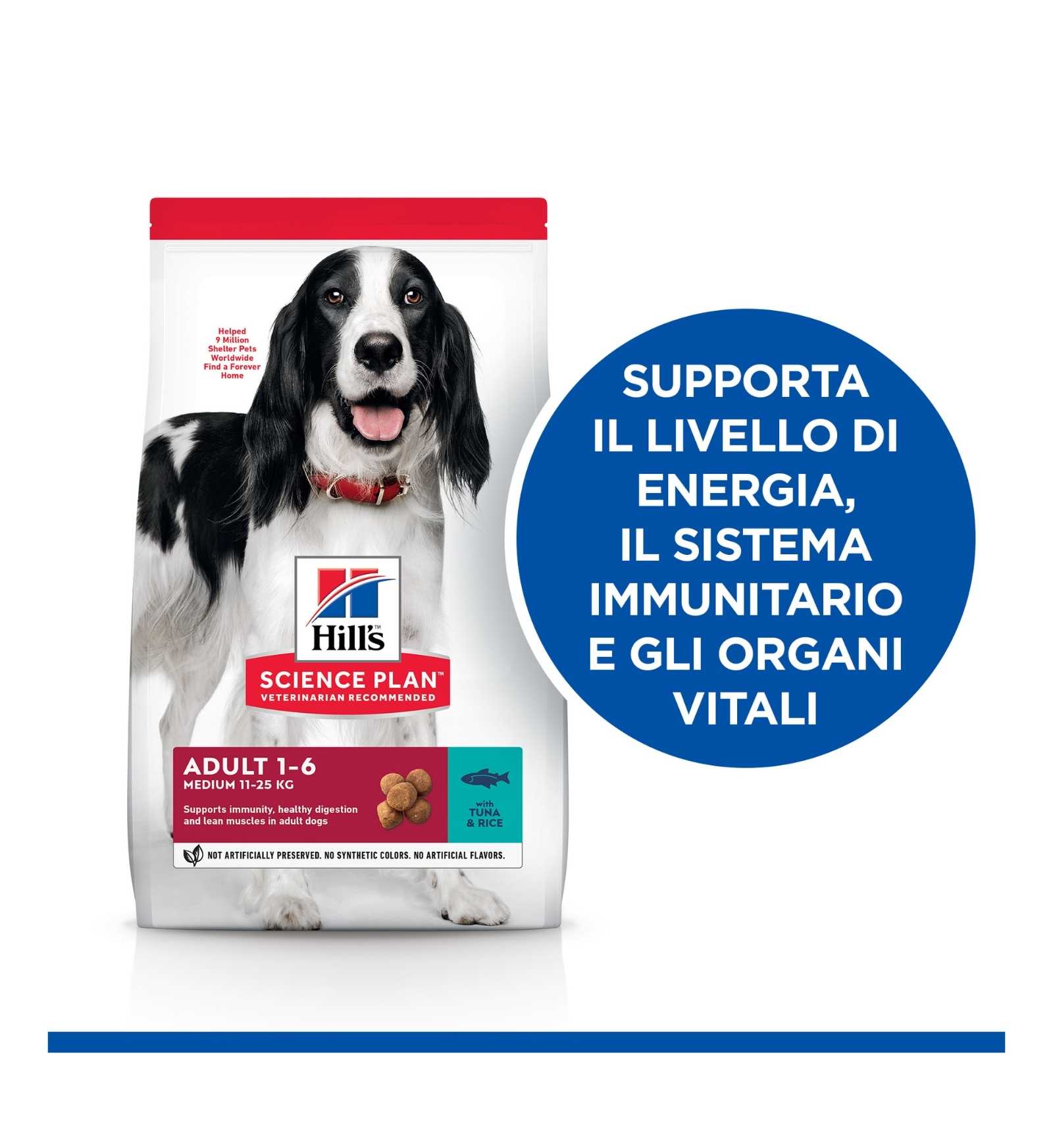 HILLS9269M_17_Image.erp.items.images.604280_17.jpg HILLS9269M picture