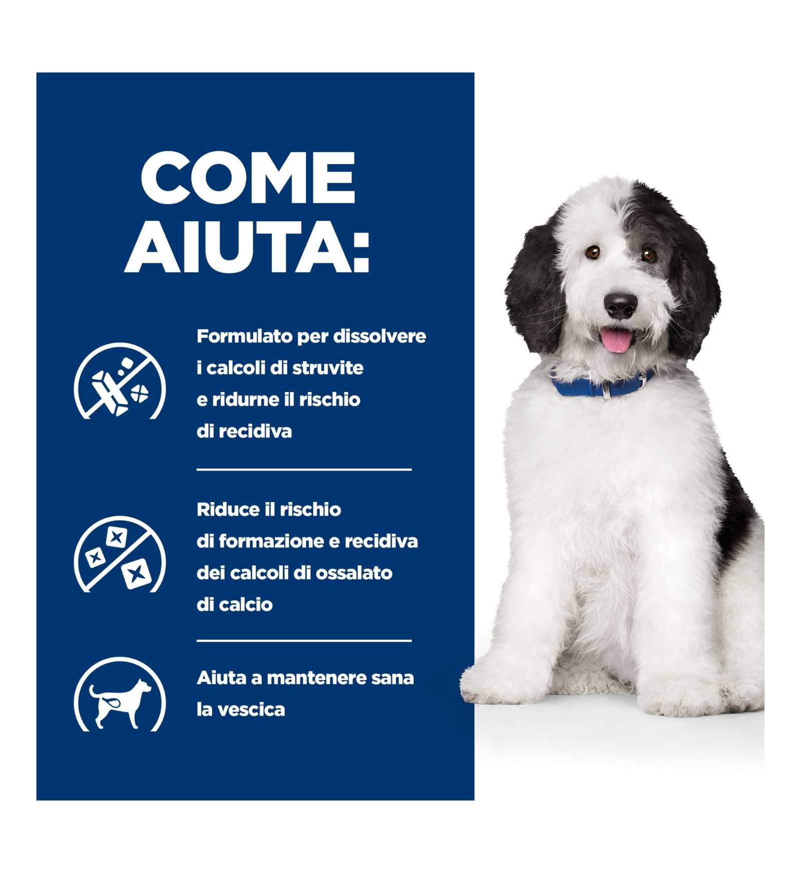 HILLS_9176N_16_Image.erp.items.images.605887_16.jpg HILLS 9176N picture