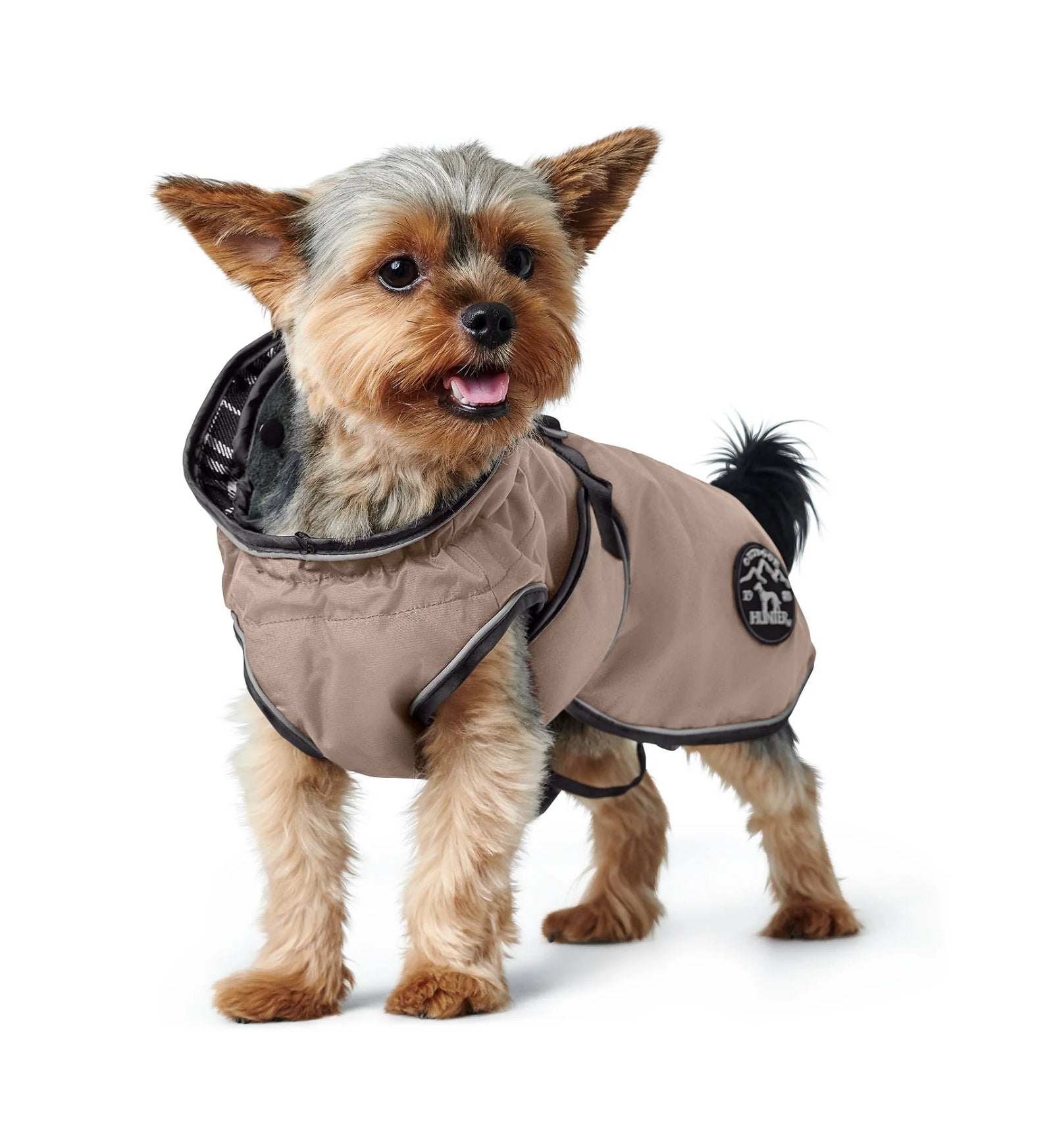 HUNTER62958_4_Image.erp.items.images.62958_04.jpg HUNTER62958 picture