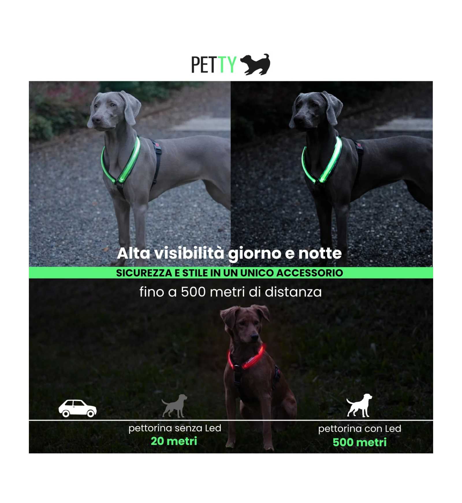 LOCONT3330290_3__Server-Mago_Mago4_Custom_Companies_ZOOEXPERT_SRL_Applications_ERP_Items_Files_Images_AllUsers_3330283_03.jpg LOCONT3330290 picture