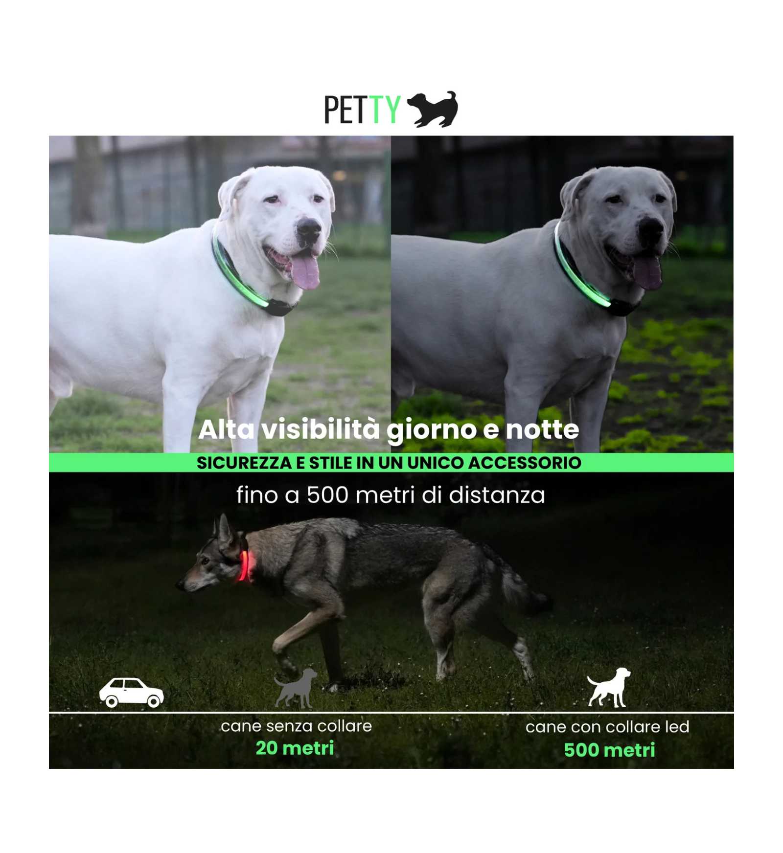 LOCONT3330436_4__Server-Mago_Mago4_Custom_Companies_ZOOEXPERT_SRL_Applications_ERP_Items_Files_Images_AllUsers_3330443_04.jpg LOCONT3330436 picture