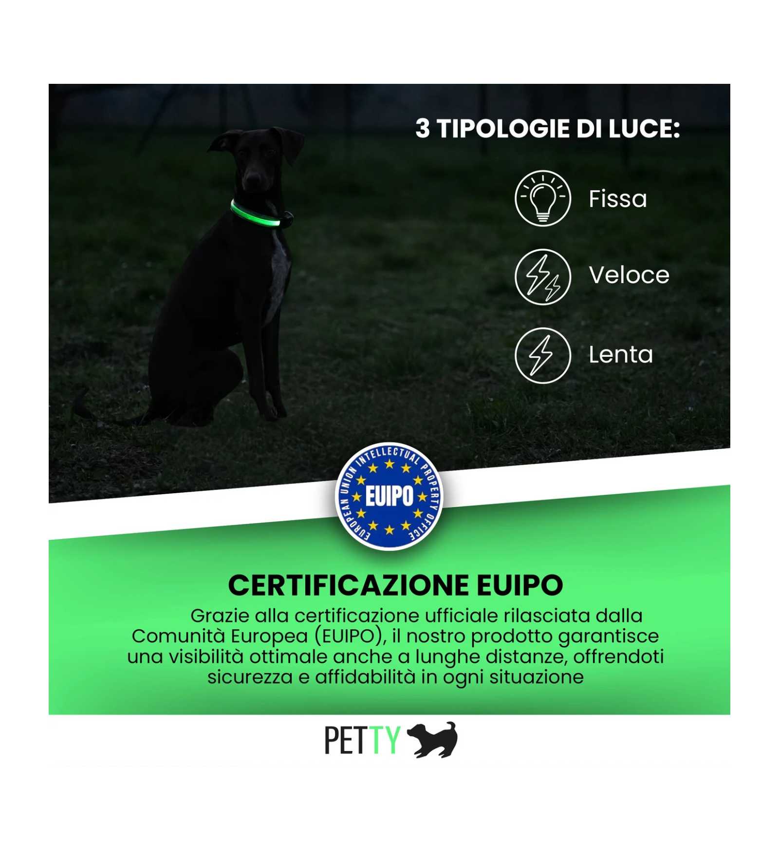 LOCONT3331143_4__Server-Mago_Mago4_Custom_Companies_ZOOEXPERT_SRL_Applications_ERP_Items_Files_Images_AllUsers_3331198_04.jpg LOCONT3331143 picture