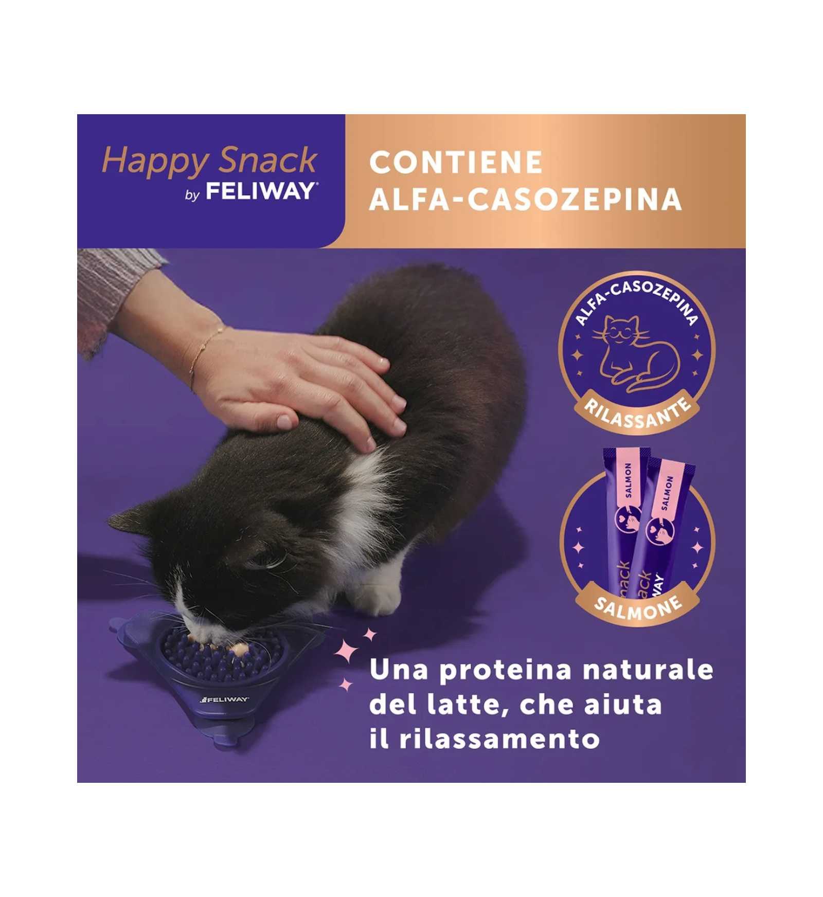 LOCONTG92110B_7__Server-Mago_Mago4_Custom_Companies_ZOOEXPERT_SRL_Applications_ERP_Items_Files_Images_AllUsers_G92110B_20.jpg LOCONTG92110B picture