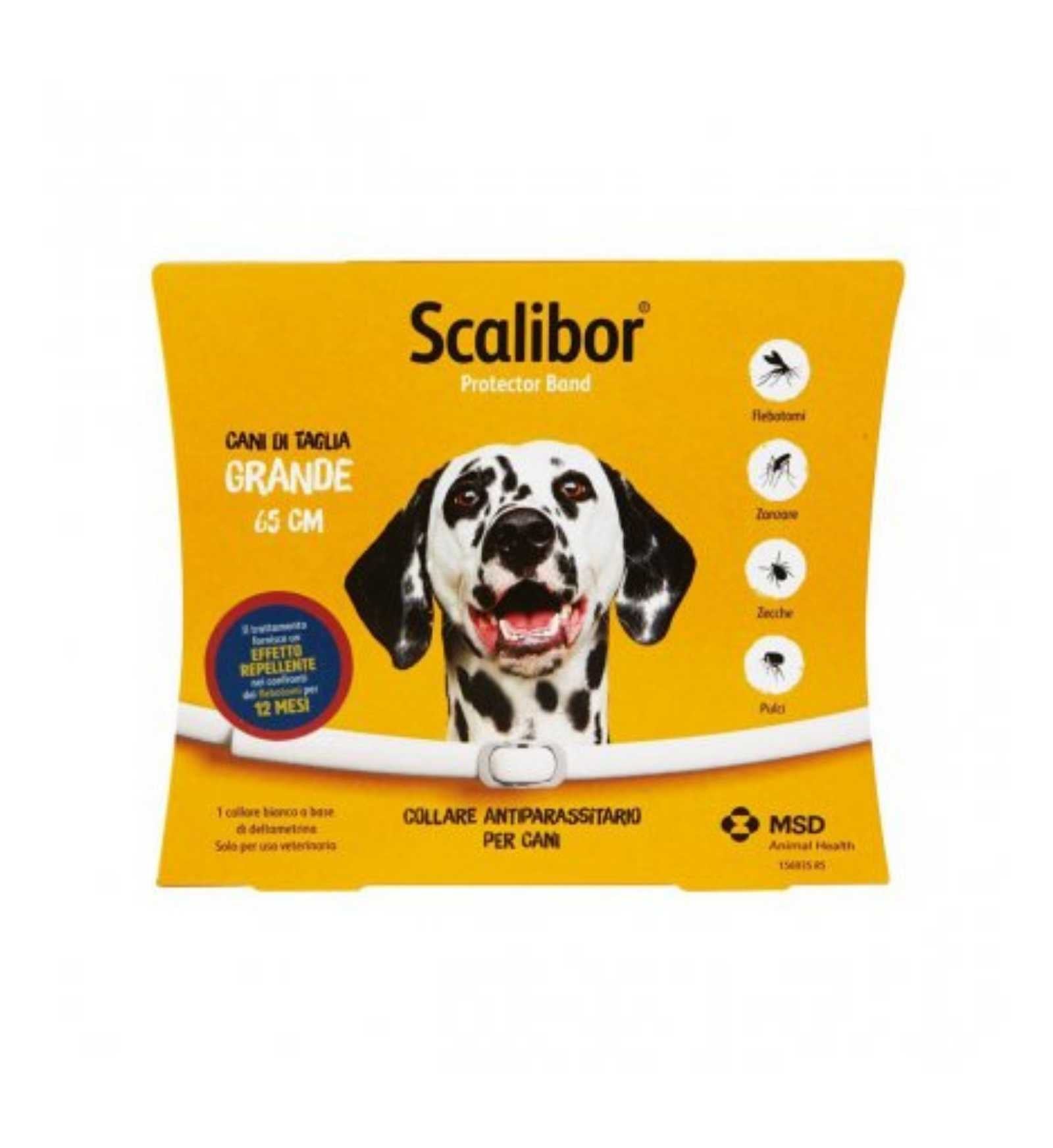 MSDCACS_1_Image.erp.items.images.31SCGV_01.jpg MSDCACS picture