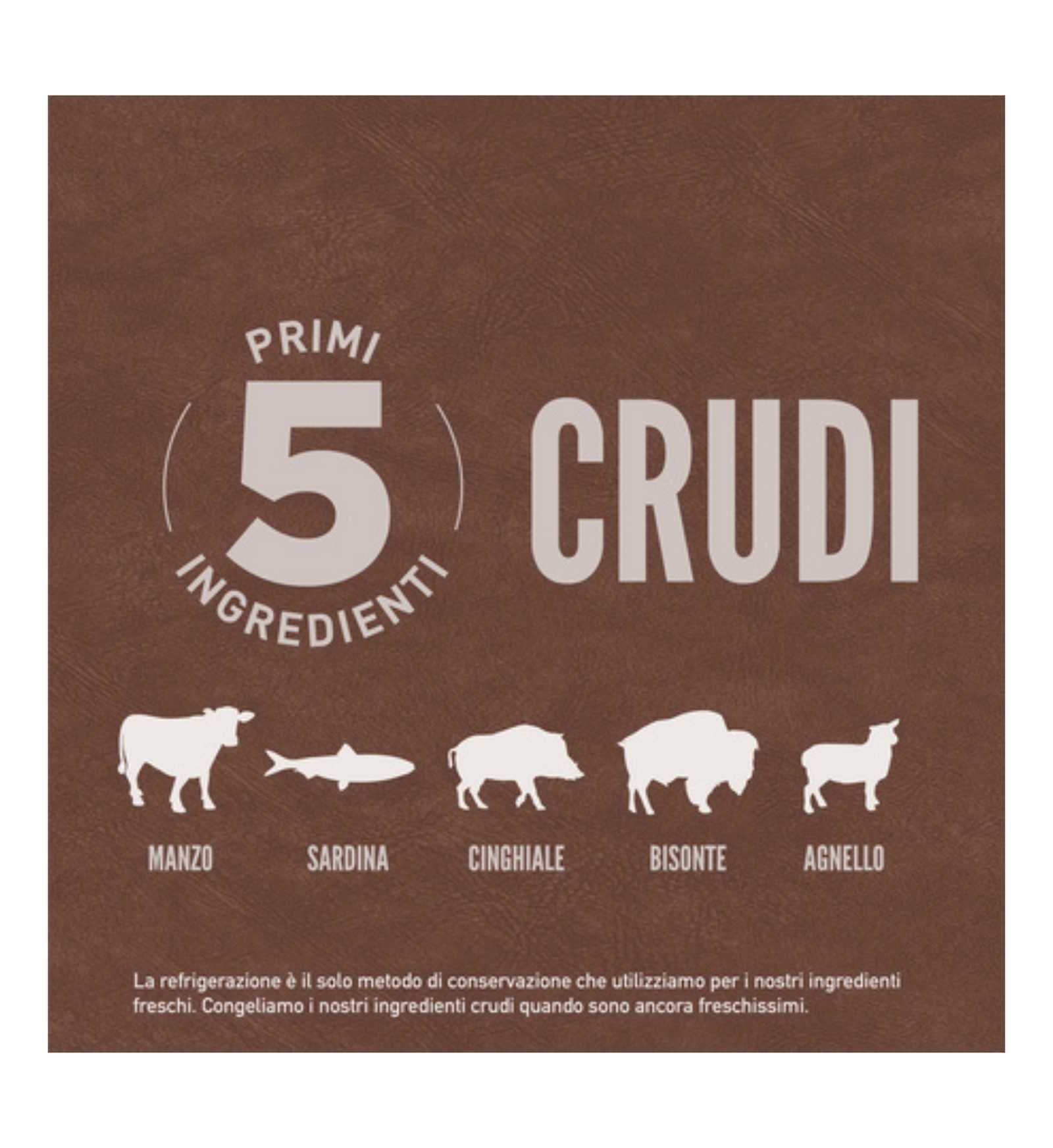 ORIJEN GATTO REGIONAL RED