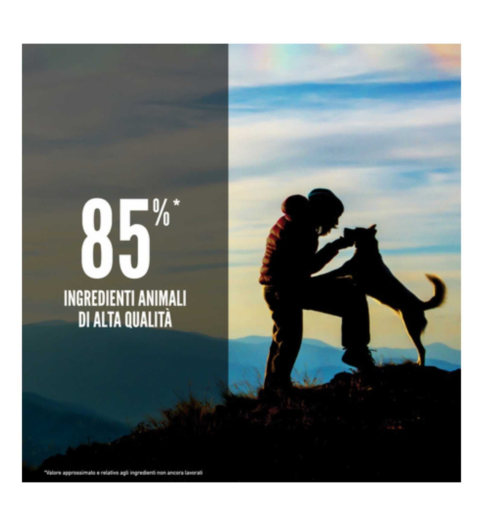 ORIJEN CANE ADULT ORIGINAL