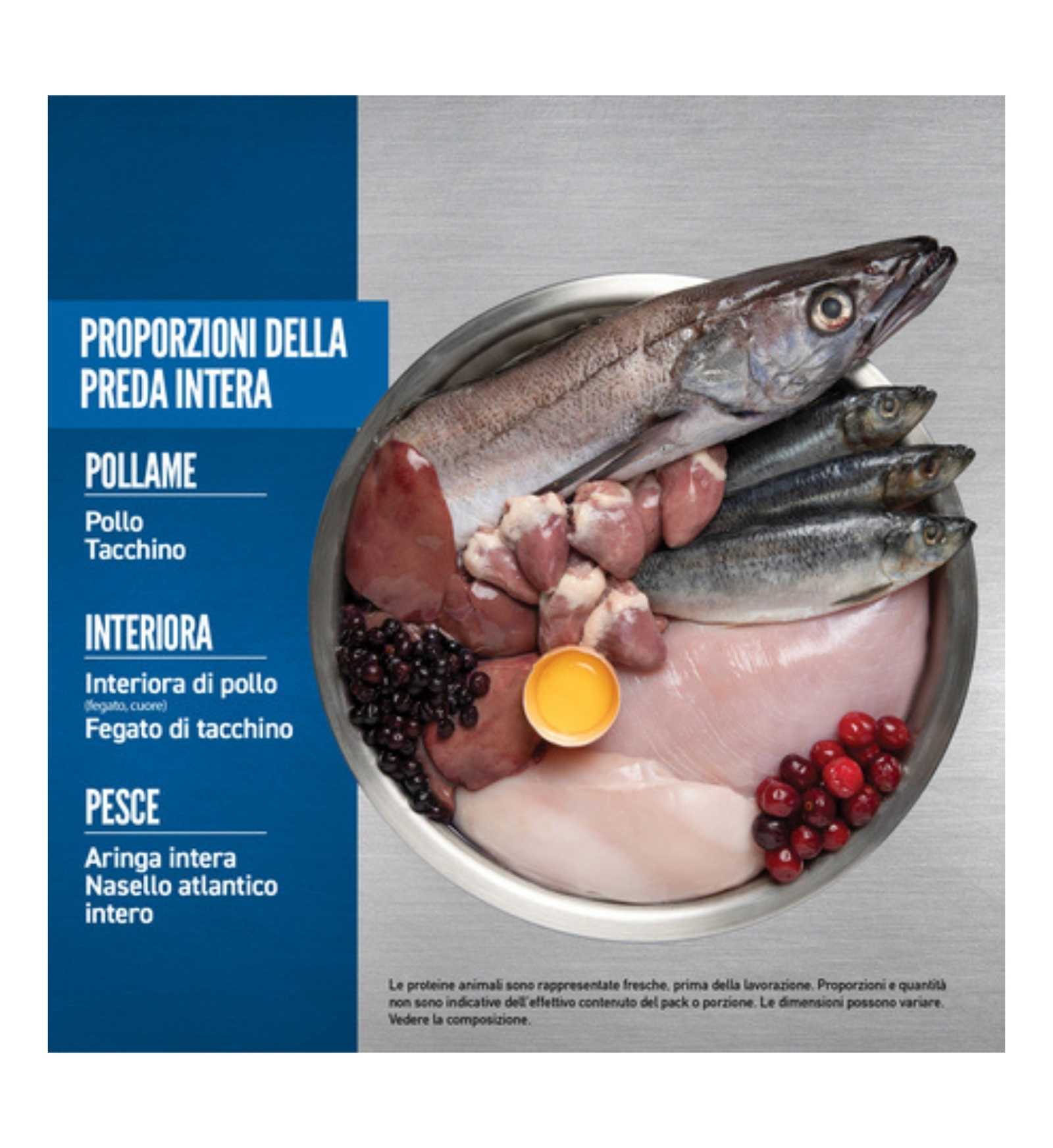 ORIJEN CANE ADULT ORIGINAL