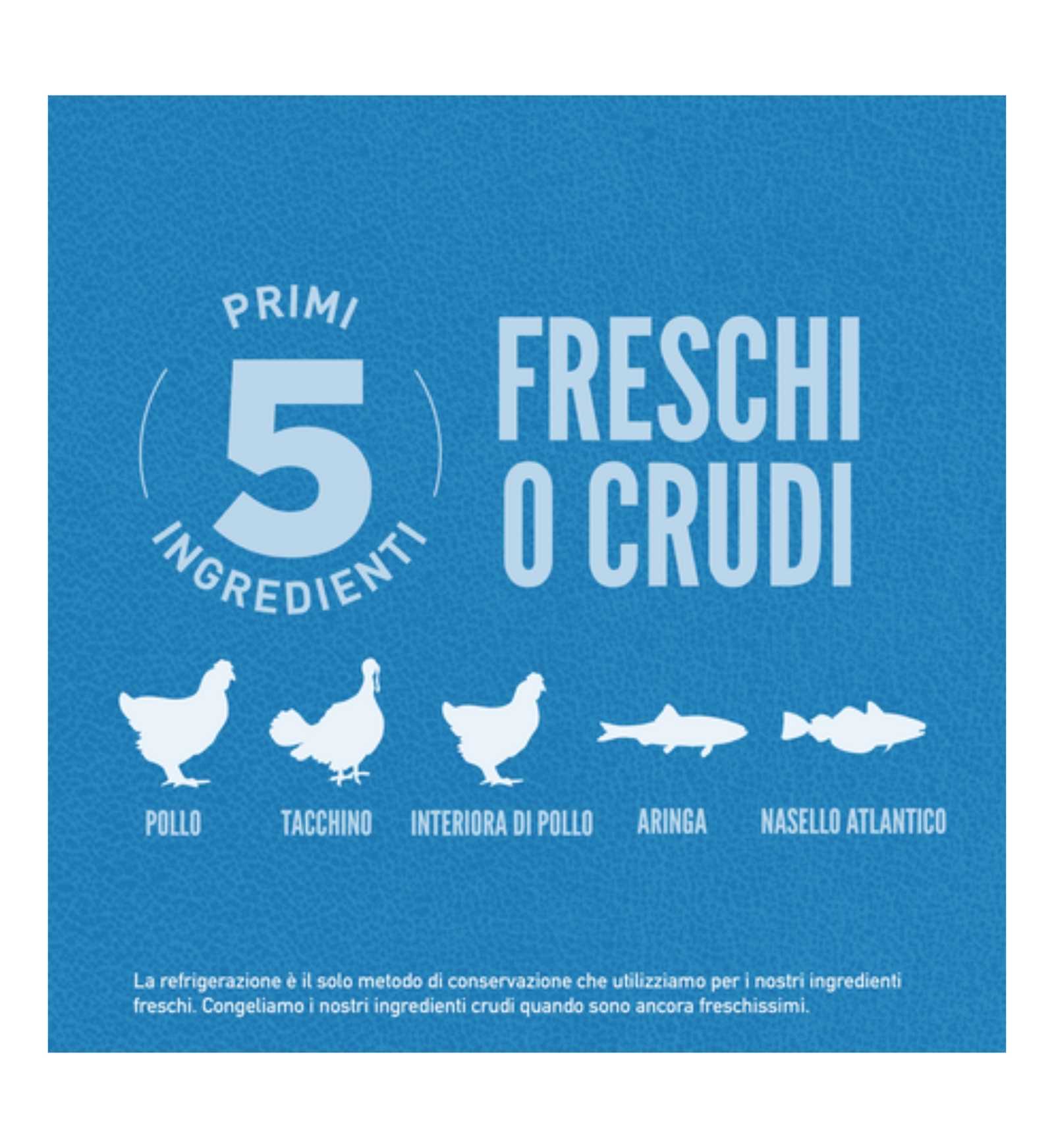 ORIJEN CANE ADULT ORIGINAL