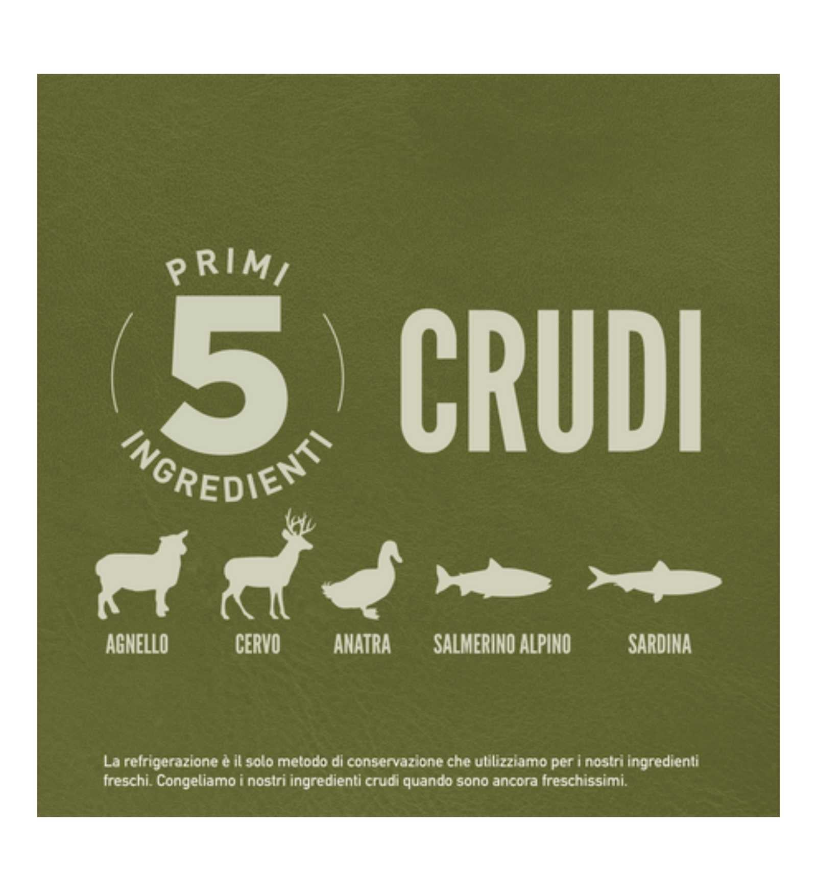 ORIJEN CANE ADULT TUNDRA