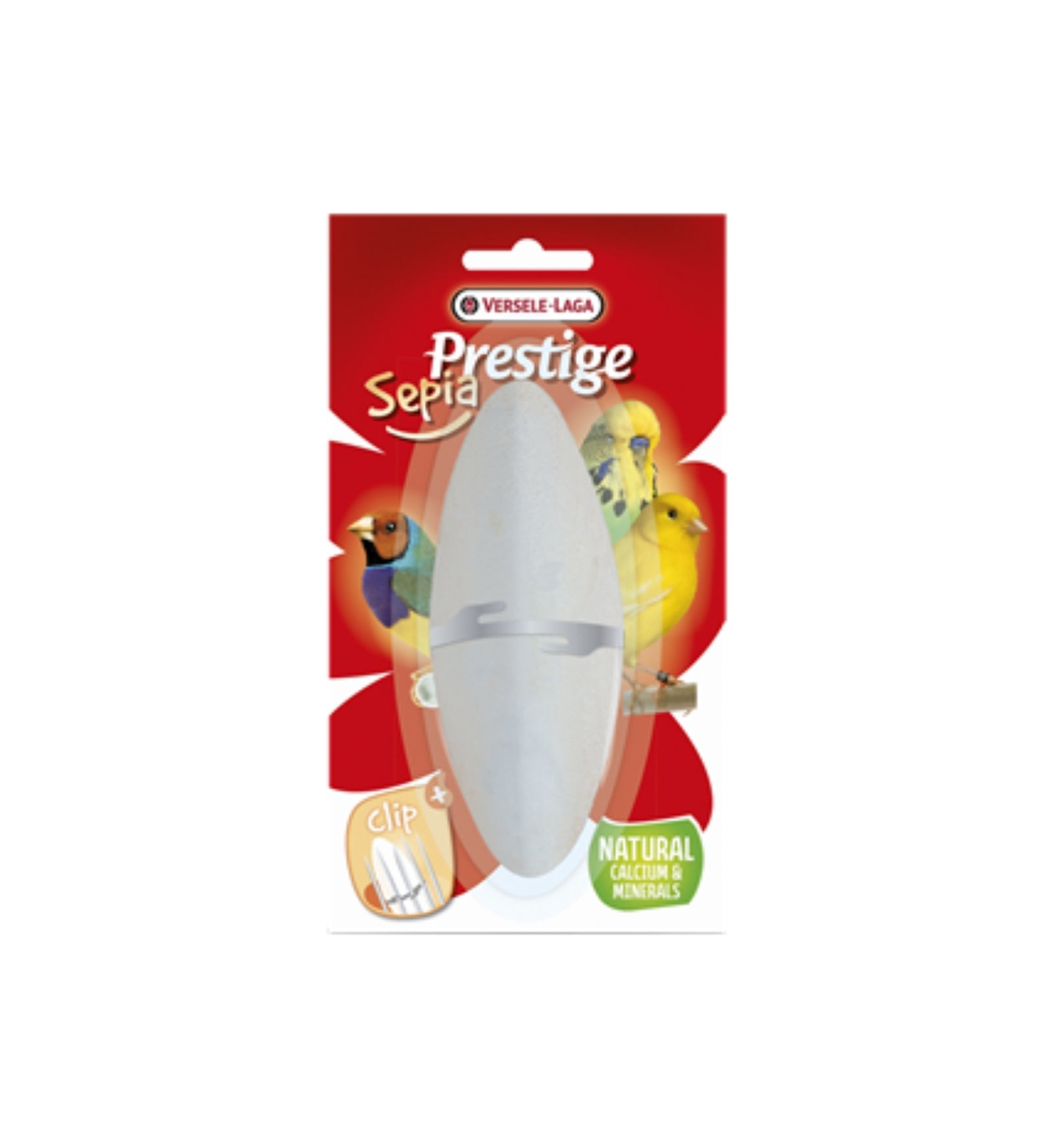 OSSI DI SEPPIA 12CM