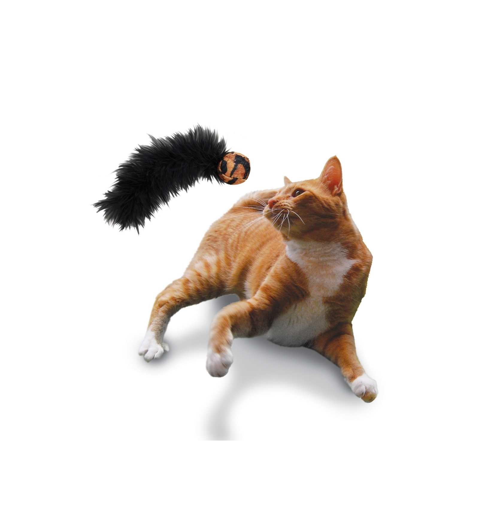 PETVIL6301070001_2__Server-Mago_Mago4_Custom_Companies_ZOOEXPERT_SRL_Applications_ERP_Items_Files_Images_AllUsers_6301070001_15.jpg PETVIL6301070001 picture