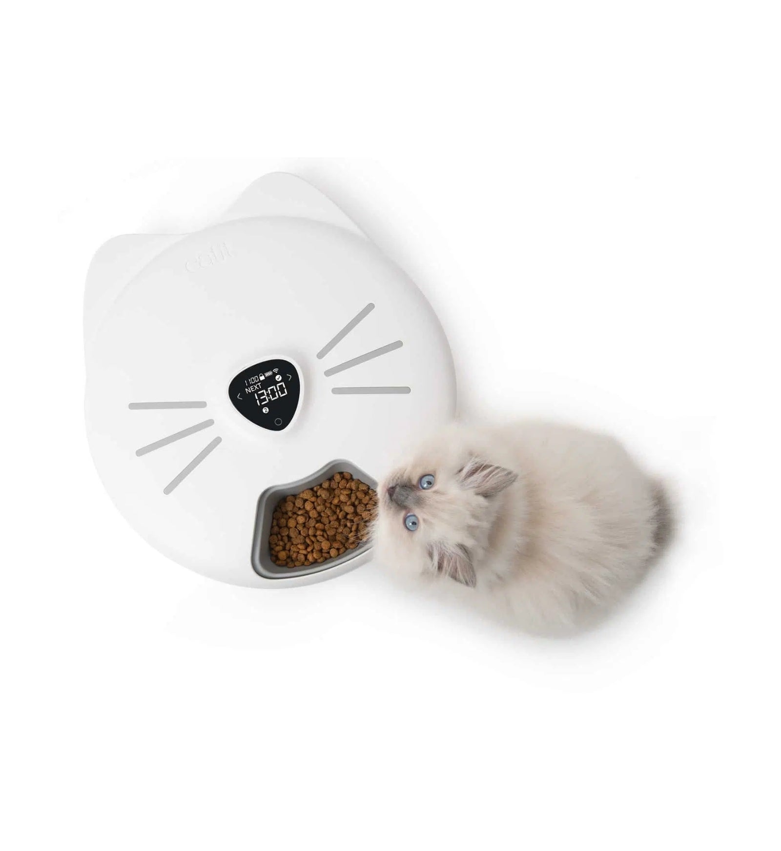 PETVIL6800020001_1_Image.erp.items.images.6800020002_01.jpg PETVIL6800020001 picture