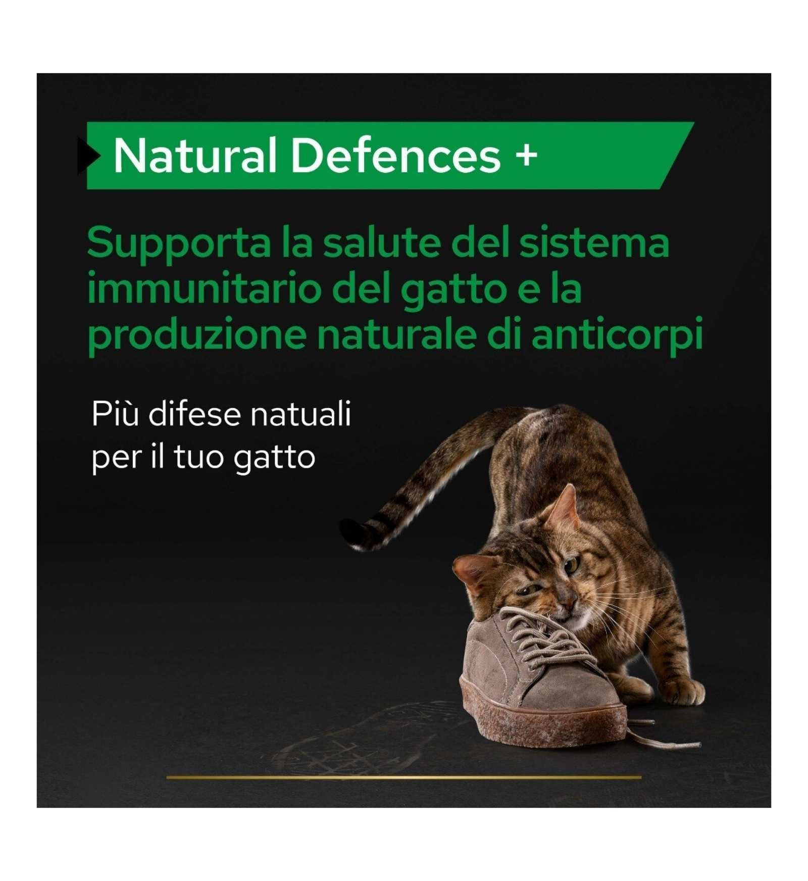 PURINA12505558_17_Image.erp.items.images.12505558_17.jpg PURINA12505558 picture