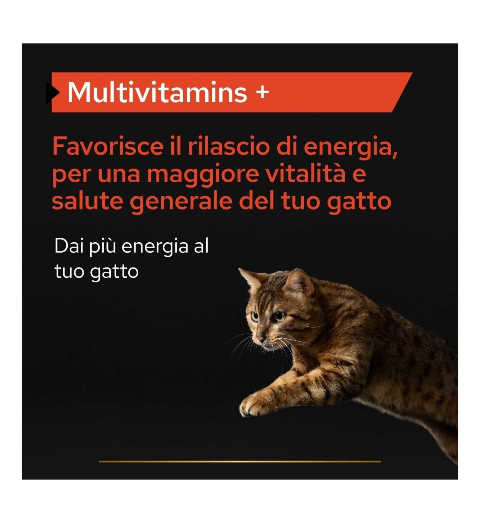 PURINA12505565_16_Image.erp.items.images.12505565_16.jpg PURINA12505565 picture