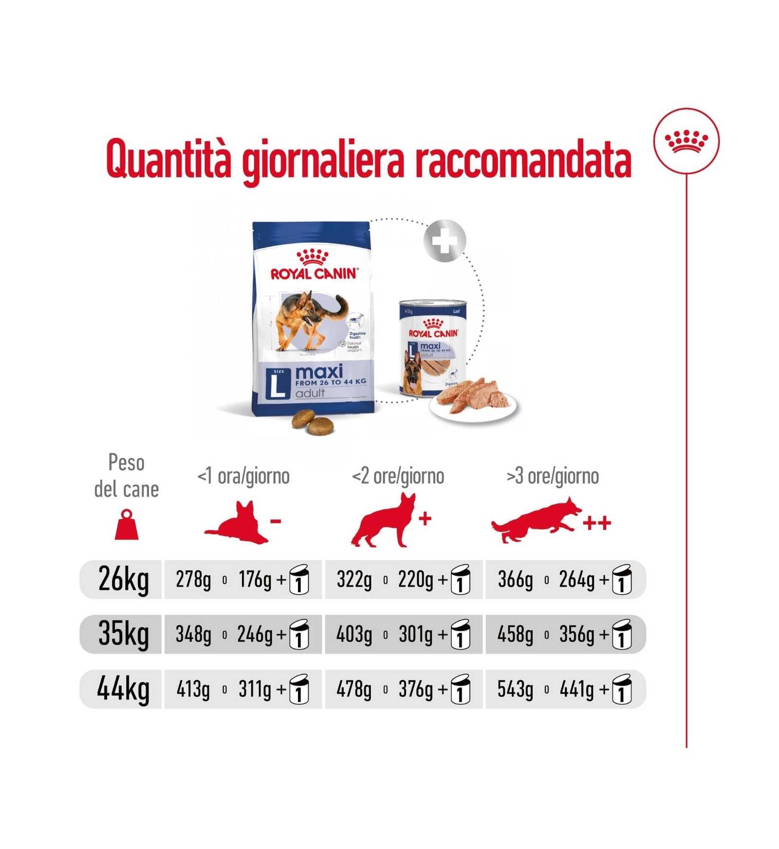 ROYAL CANIN CANE ADULT MAXI