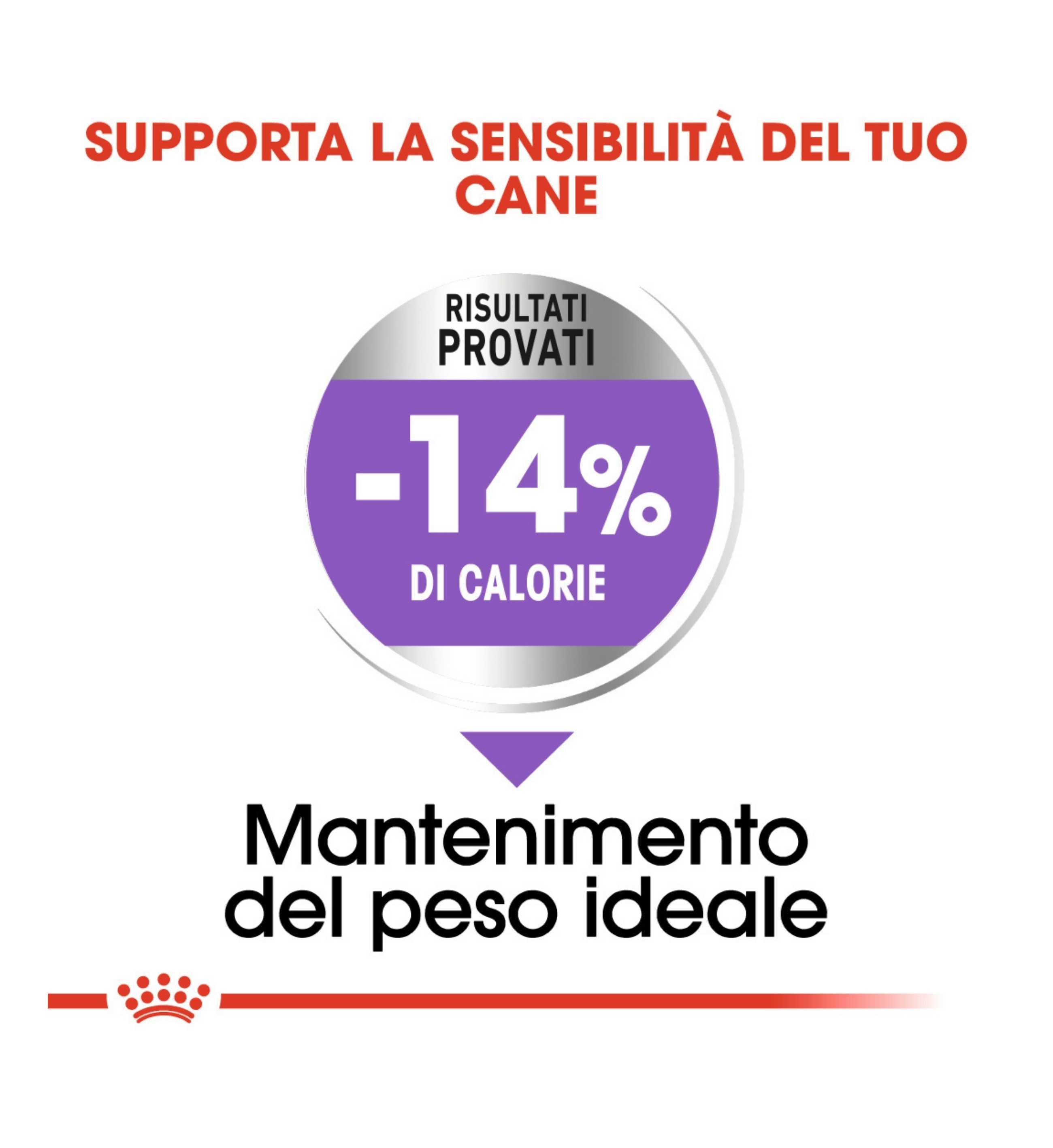 ROYAL CANIN CANE MINI STERILISED