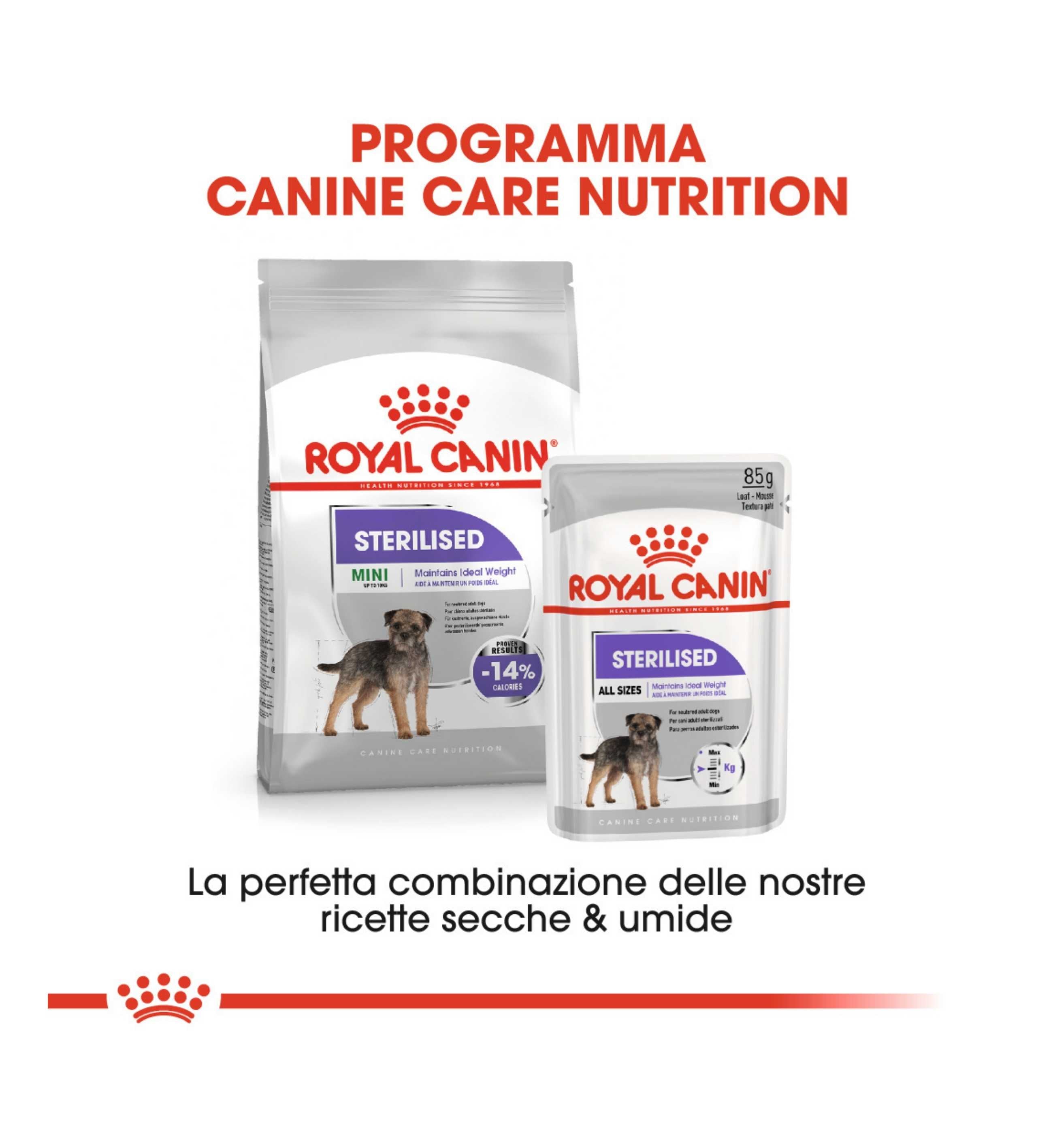 ROYAL CANIN CANE MINI STERILISED