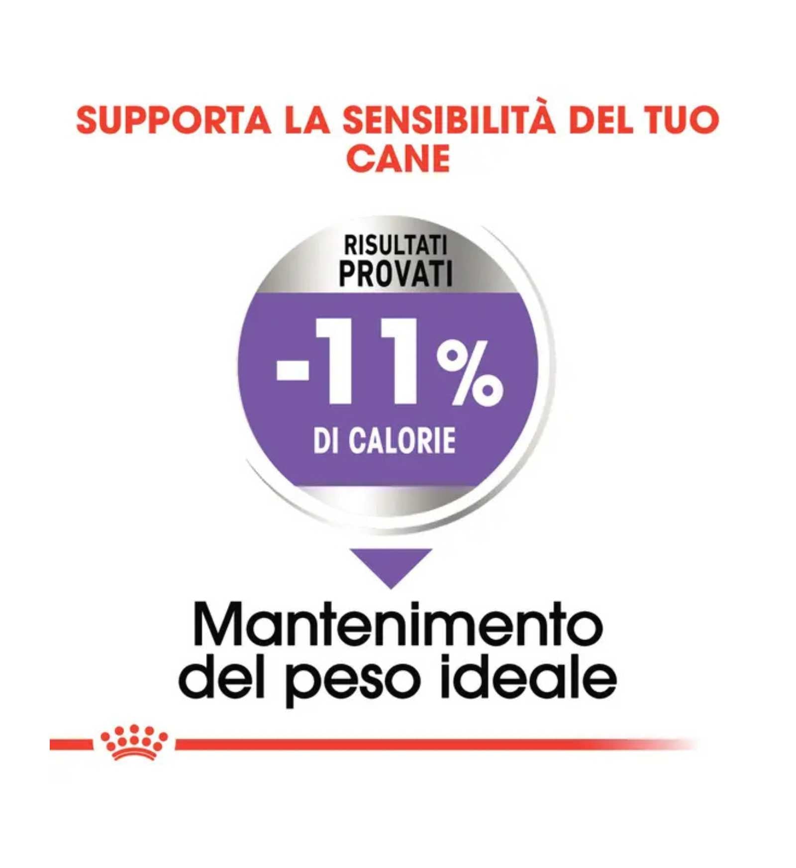 ROYALR448298_5__Server-Mago_Mago4_Custom_Companies_ZOOEXPERT_SRL_Applications_ERP_Items_Files_Images_AllUsers_R448298_16.jpg ROYALR448298 picture