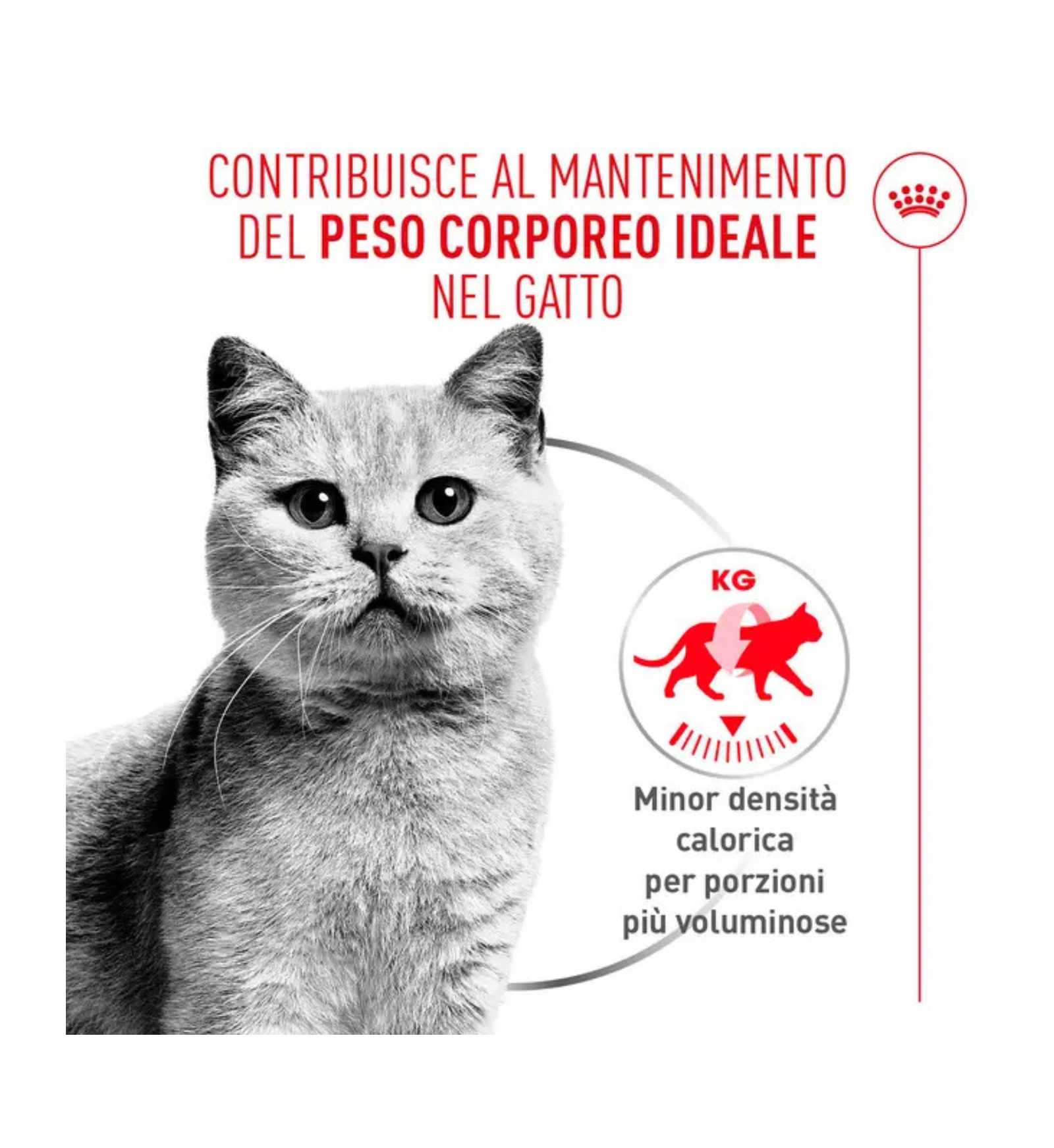 ROYALR606990_3__Server-Mago_Mago4_Custom_Companies_ZOOEXPERT_SRL_Applications_ERP_Items_Files_Images_AllUsers_R606990_17.jpg ROYALR606990 picture