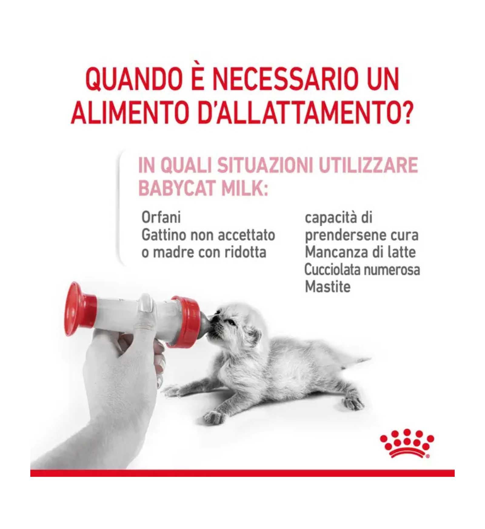 TODISC0001_3__Server-Mago_Mago4_Custom_Companies_ZOOEXPERT_SRL_Applications_ERP_Items_Files_Images_AllUsers_001_11.jpg TODISC0001 picture