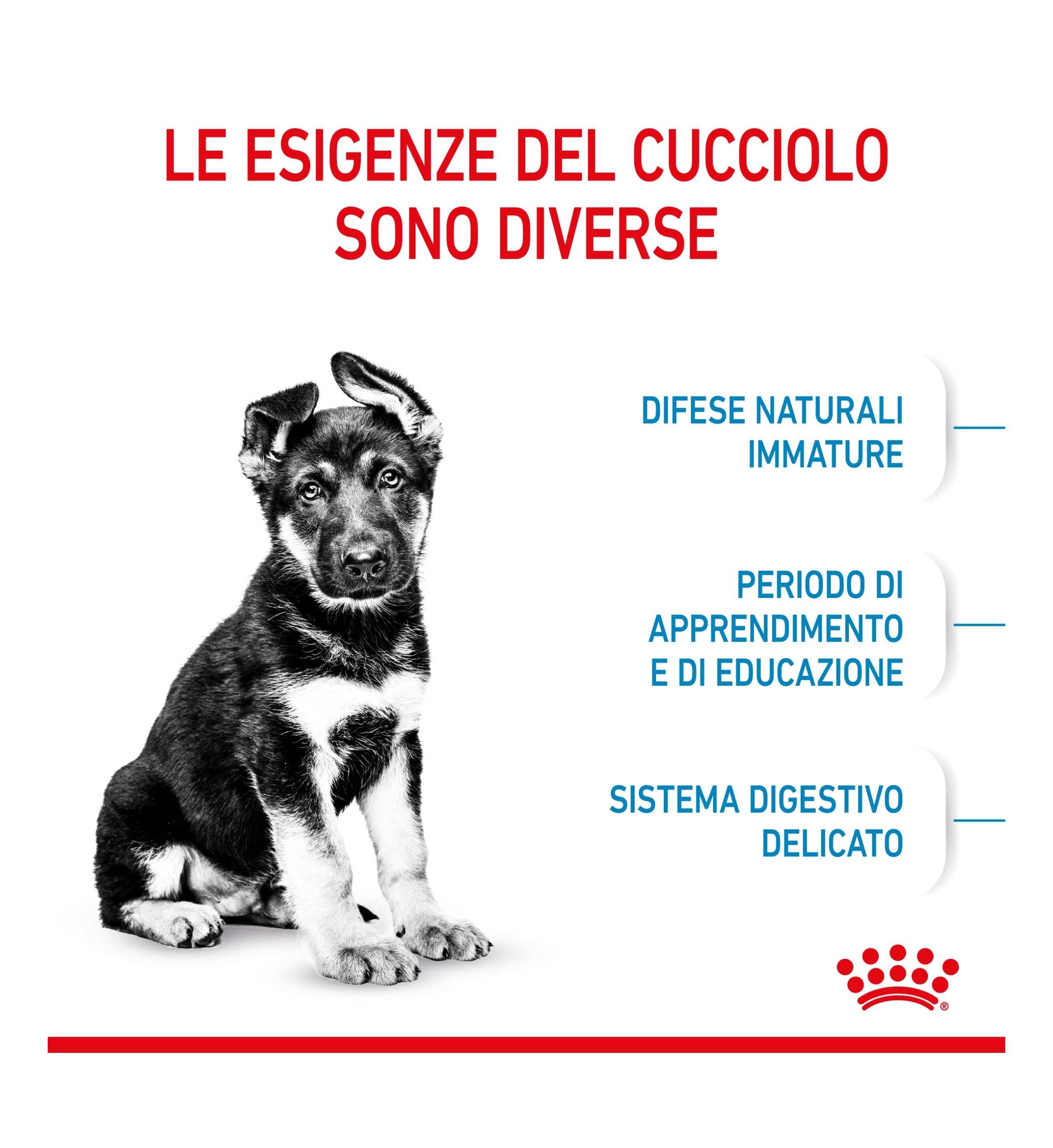 TODISC1205_01_3__Server-Mago_Mago4_Custom_Companies_ZOOEXPERT_SRL_Applications_ERP_Items_Files_Images_AllUsers_1390_12.jpg TODISC1205_01 picture