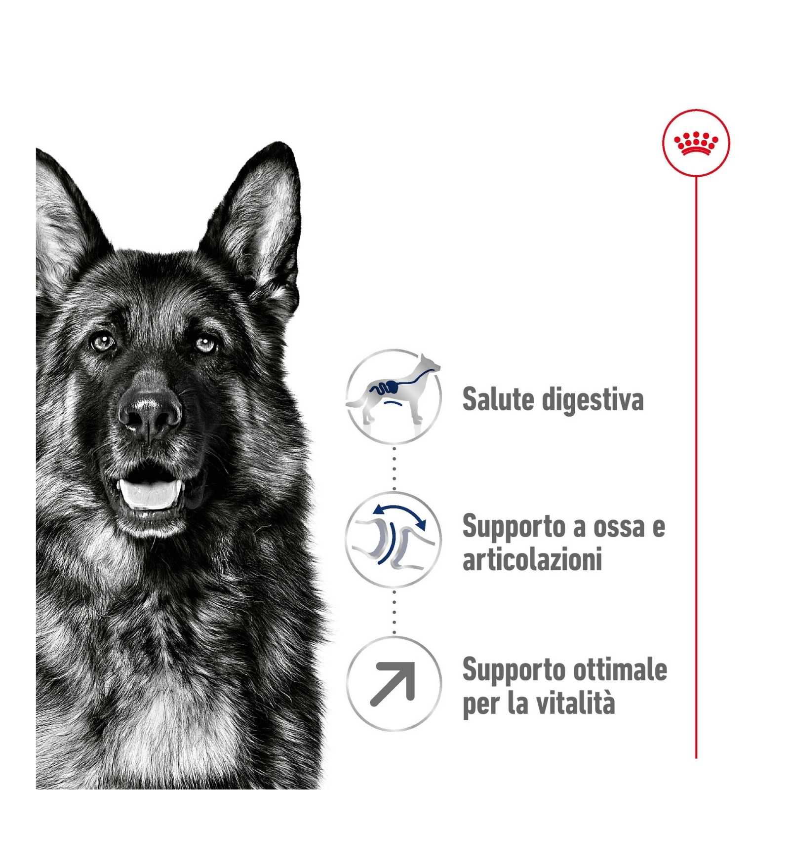 TODISC1218_16_Image.erp.items.images.1218_16.jpg TODISC1218 picture