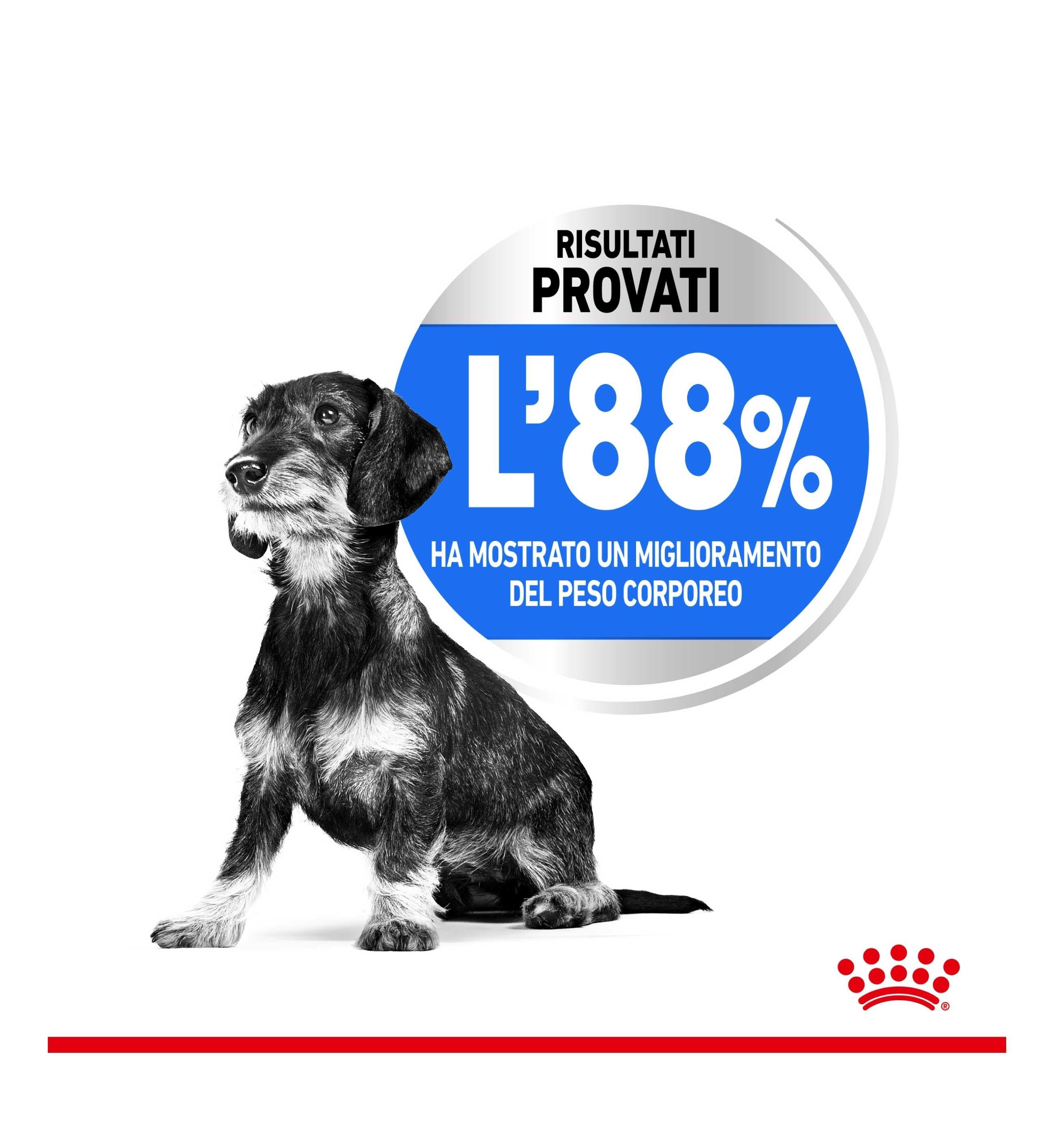 ROYAL CANIN CANE MINI LIGHT WEIGHT CARE