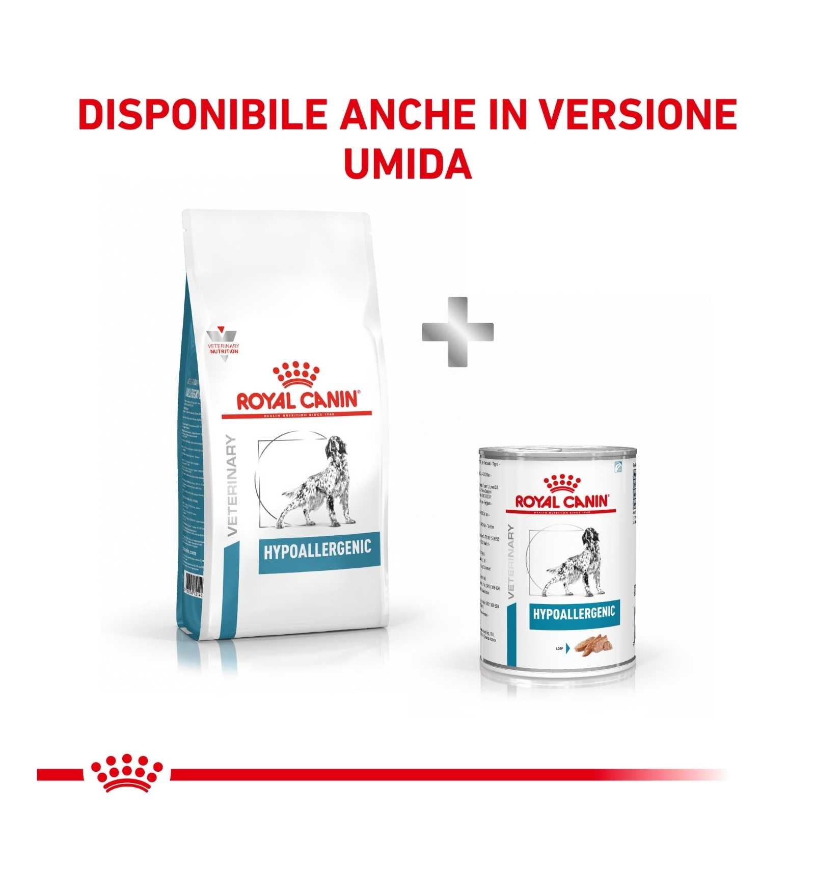 TODISC301527_01_7__Server-Mago_Mago4_Custom_Companies_ZOOEXPERT_SRL_Applications_ERP_Items_Files_Images_AllUsers_3170_39.jpg TODISC301527_01 picture