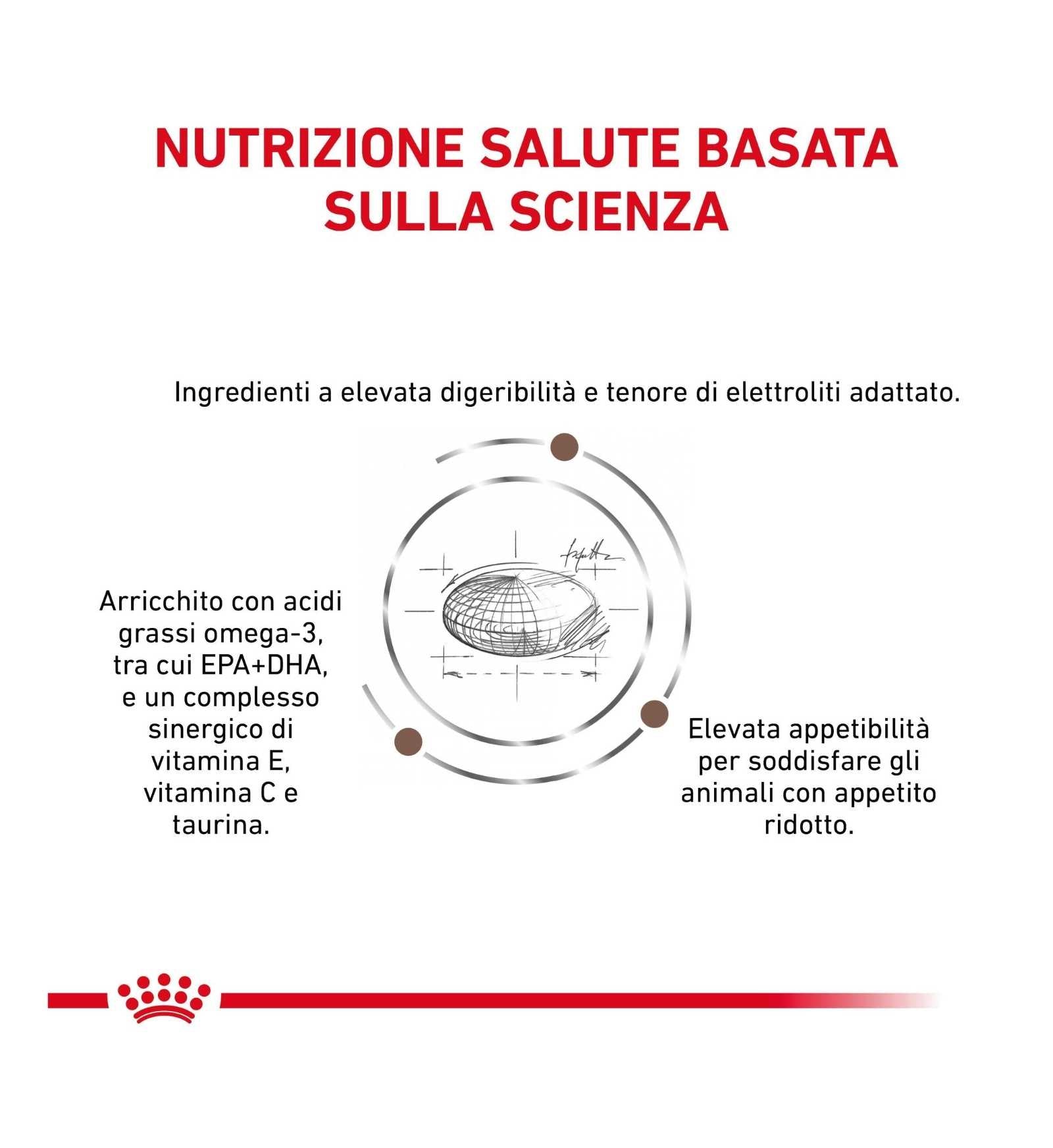 TODISC3117_01_2__Server-Mago_Mago4_Custom_Companies_ZOOEXPERT_SRL_Applications_ERP_Items_Files_Images_AllUsers_3117_11.jpg TODISC3117_01 picture