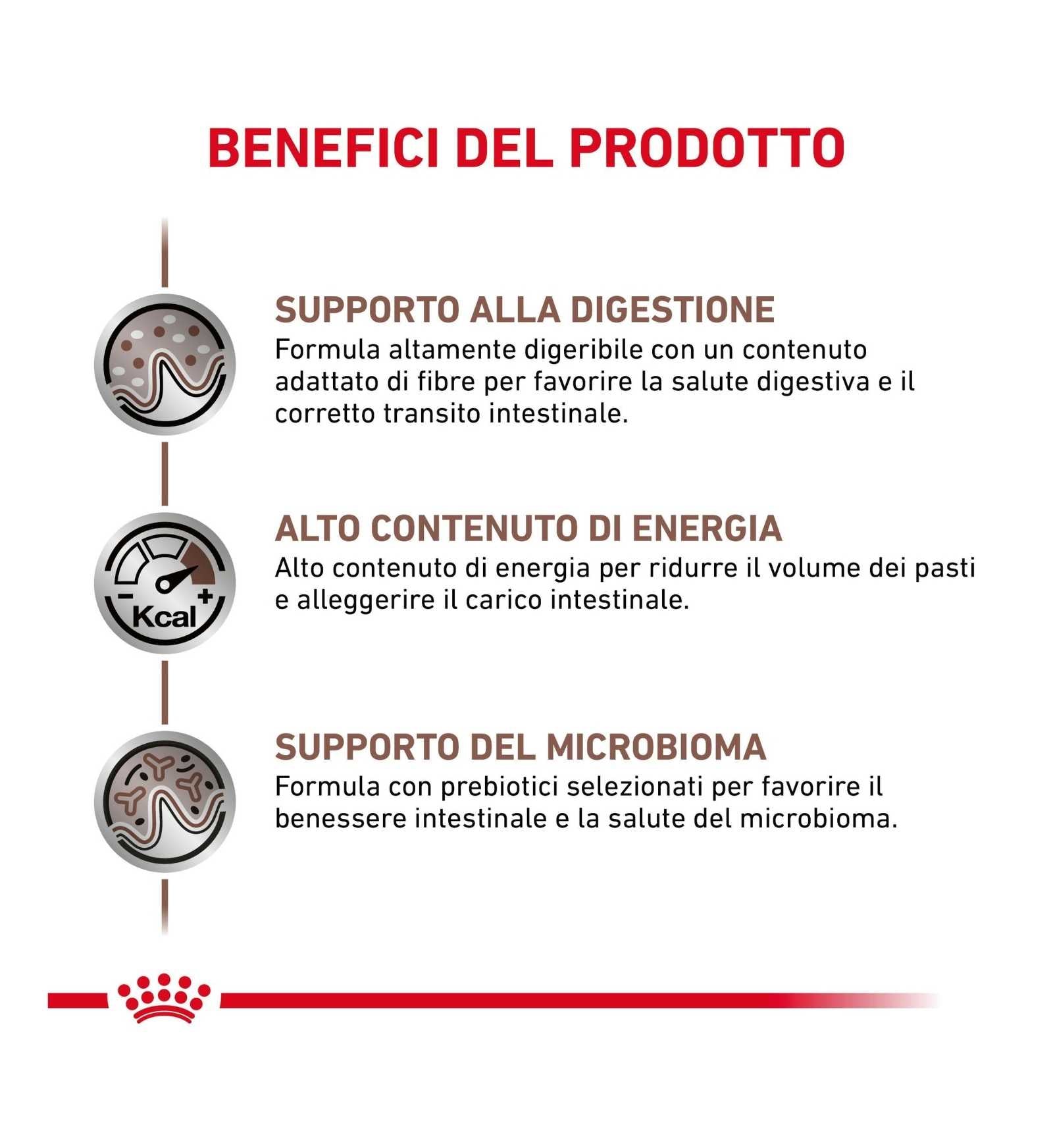 TODISC3117_01_3__Server-Mago_Mago4_Custom_Companies_ZOOEXPERT_SRL_Applications_ERP_Items_Files_Images_AllUsers_3117_16.jpg TODISC3117_01 picture