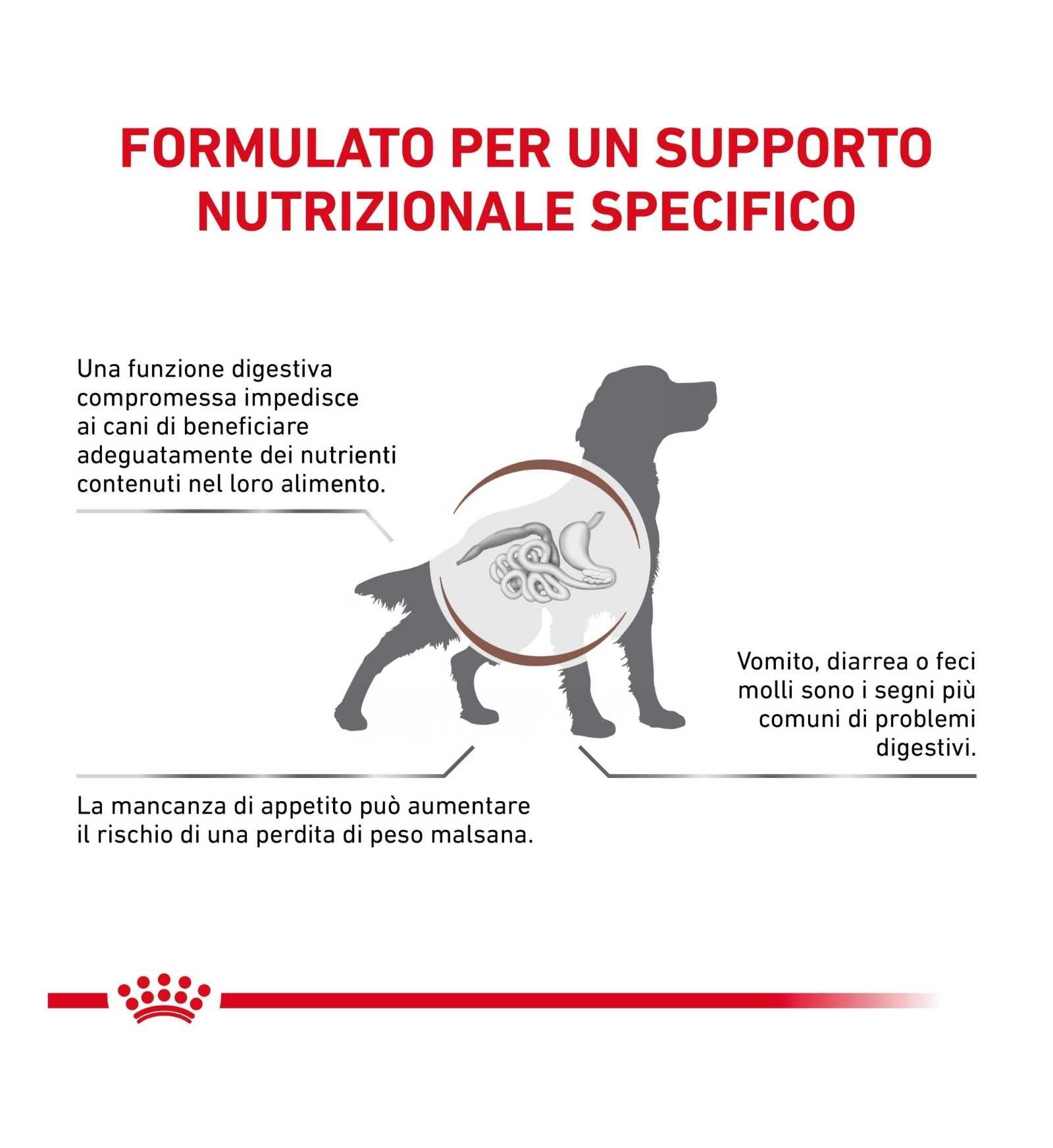 TODISC3117_01_4__Server-Mago_Mago4_Custom_Companies_ZOOEXPERT_SRL_Applications_ERP_Items_Files_Images_AllUsers_3117_17.jpg TODISC3117_01 picture