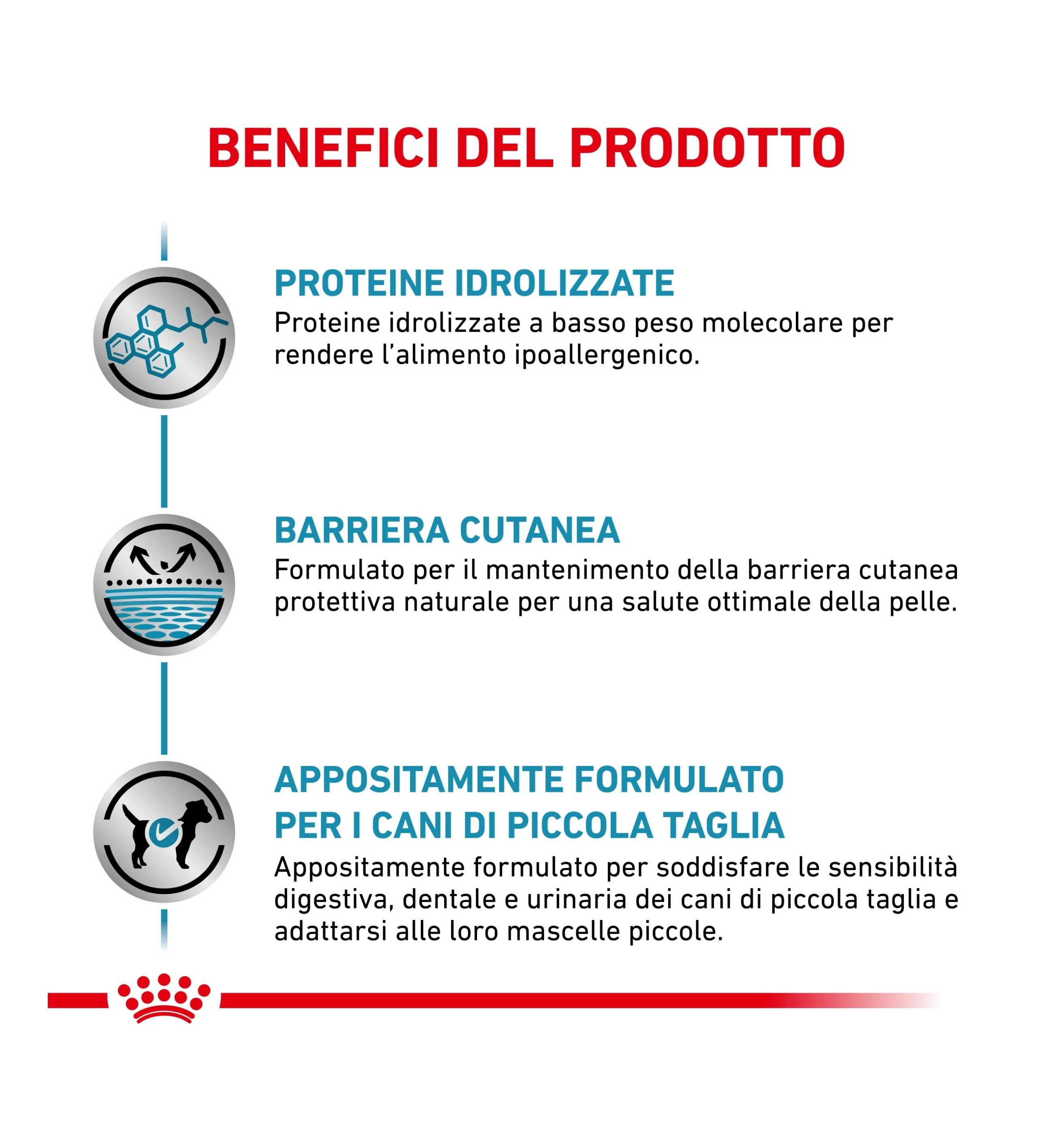 TODISC3182550758314_3__Server-Mago_Mago4_Custom_Companies_ZOOEXPERT_SRL_Applications_ERP_Items_Files_Images_AllUsers_3172_16.jpg TODISC3182550758314 picture