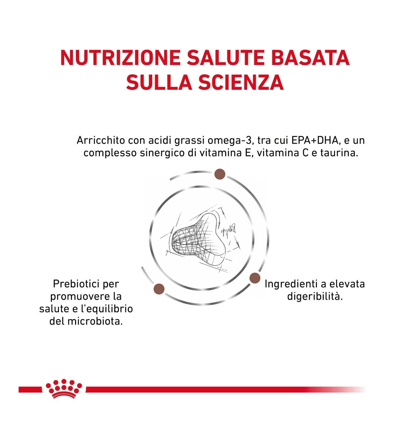 TODISC4048_01_2__Server-Mago_Mago4_Custom_Companies_ZOOEXPERT_SRL_Applications_ERP_Items_Files_Images_AllUsers_4115_11.jpg TODISC4048_01 picture