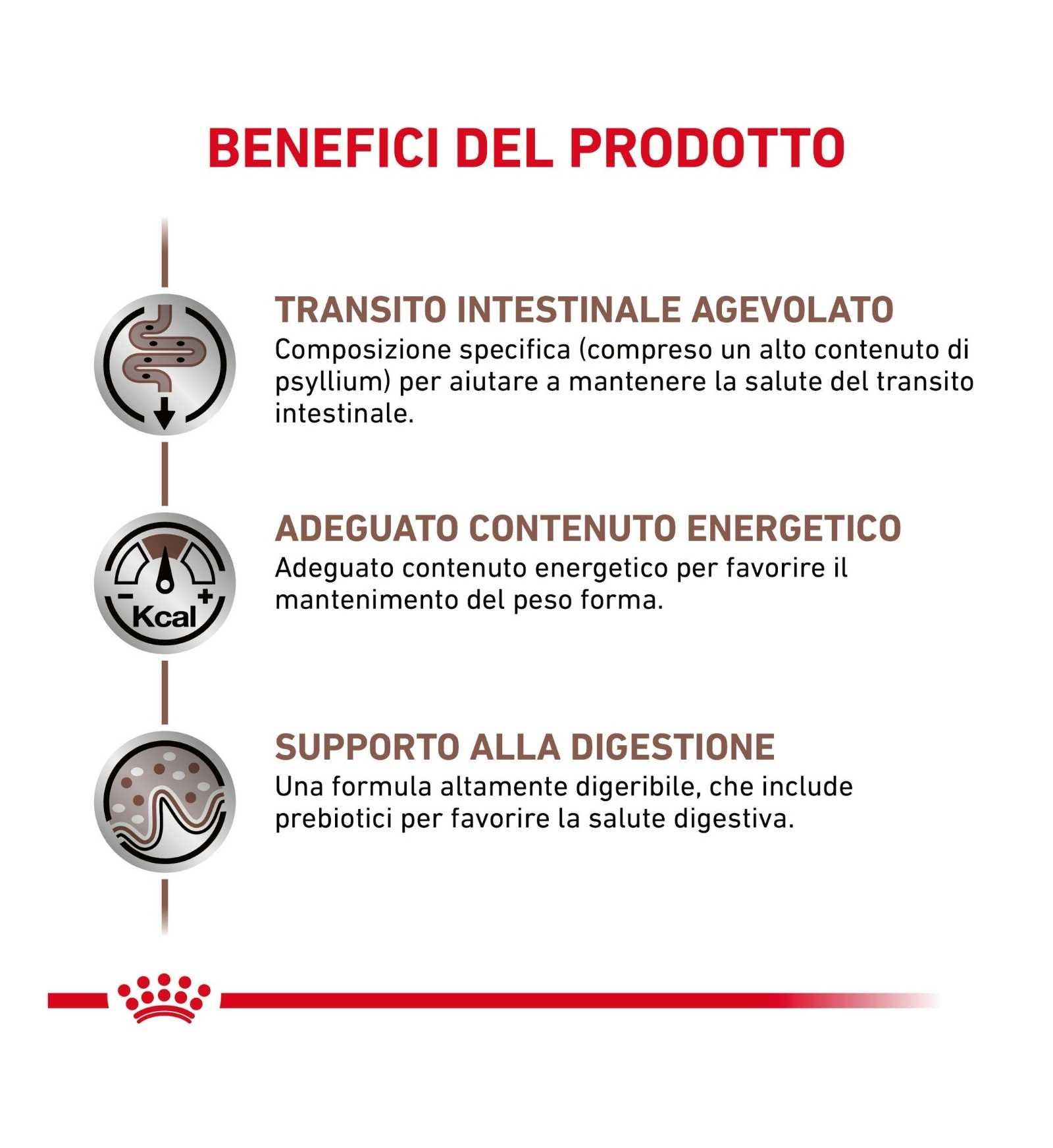 TODISC4048_01_3__Server-Mago_Mago4_Custom_Companies_ZOOEXPERT_SRL_Applications_ERP_Items_Files_Images_AllUsers_4115_16.jpg TODISC4048_01 picture