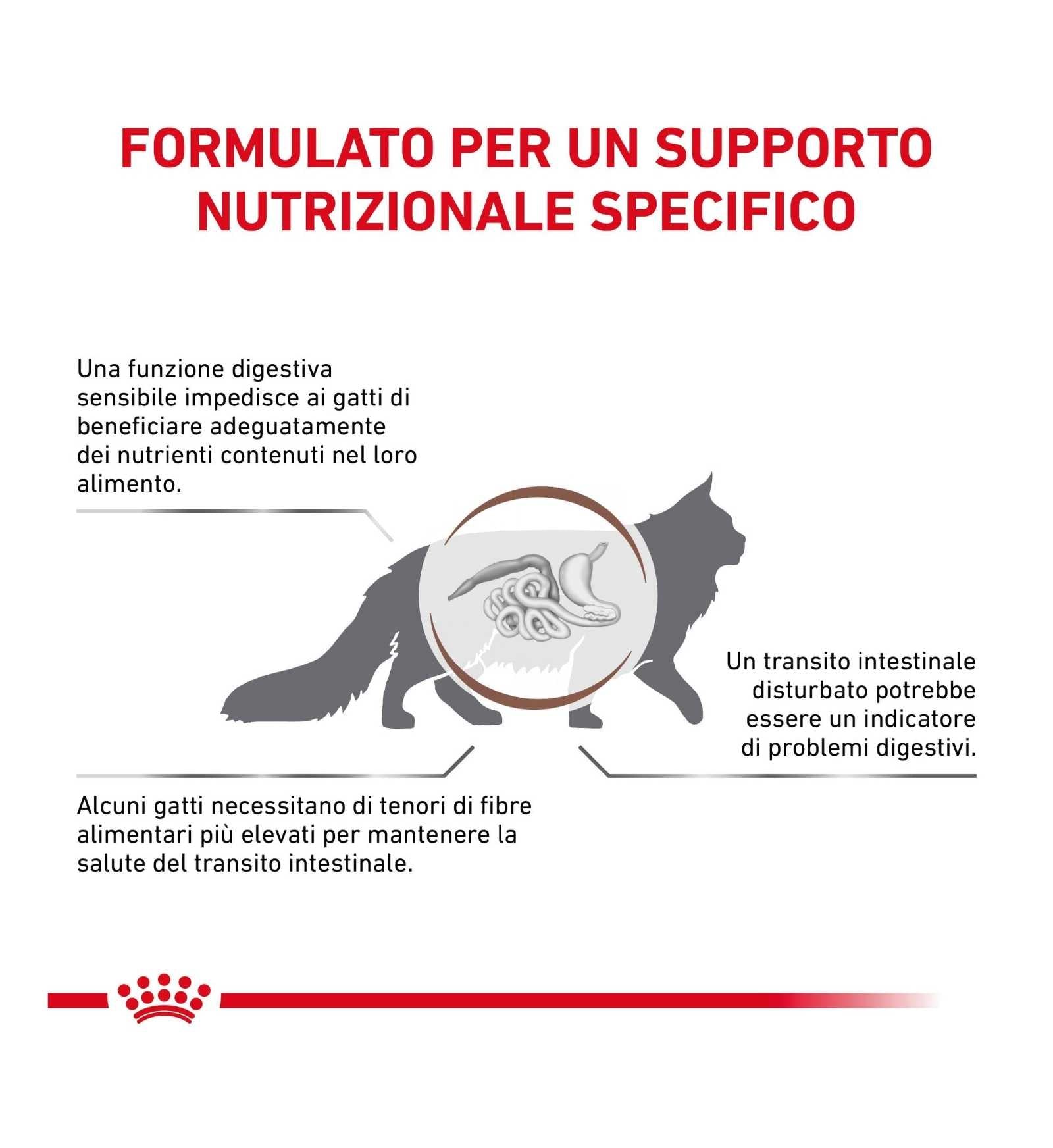 TODISC4048_01_4__Server-Mago_Mago4_Custom_Companies_ZOOEXPERT_SRL_Applications_ERP_Items_Files_Images_AllUsers_4115_17.jpg TODISC4048_01 picture