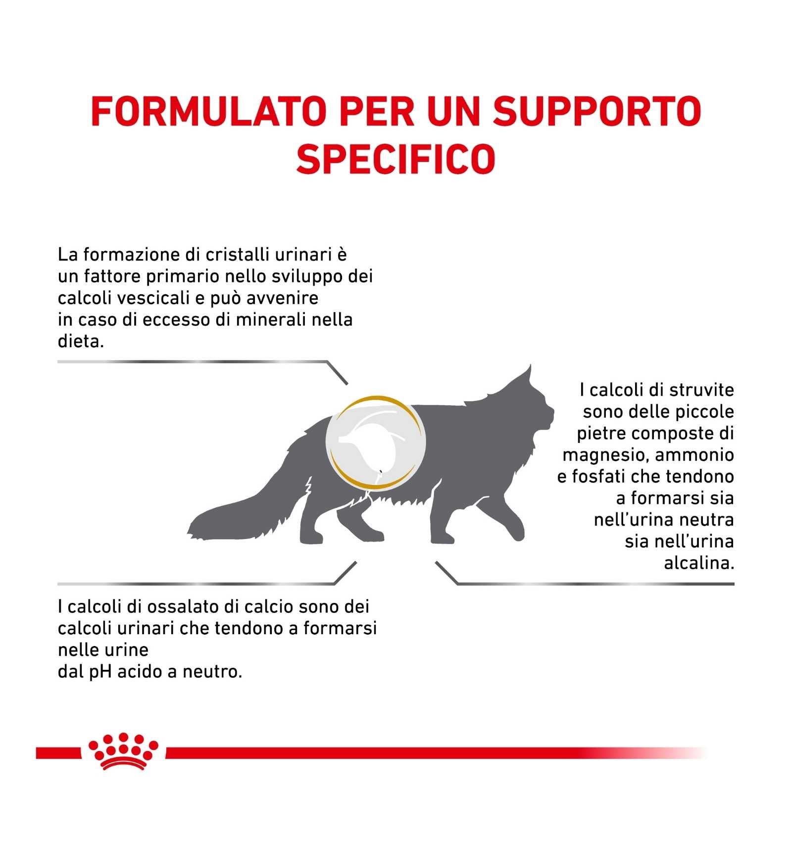 TODISC4074_4__Server-Mago_Mago4_Custom_Companies_ZOOEXPERT_SRL_Applications_ERP_Items_Files_Images_AllUsers_4094_17.jpg TODISC4074 picture