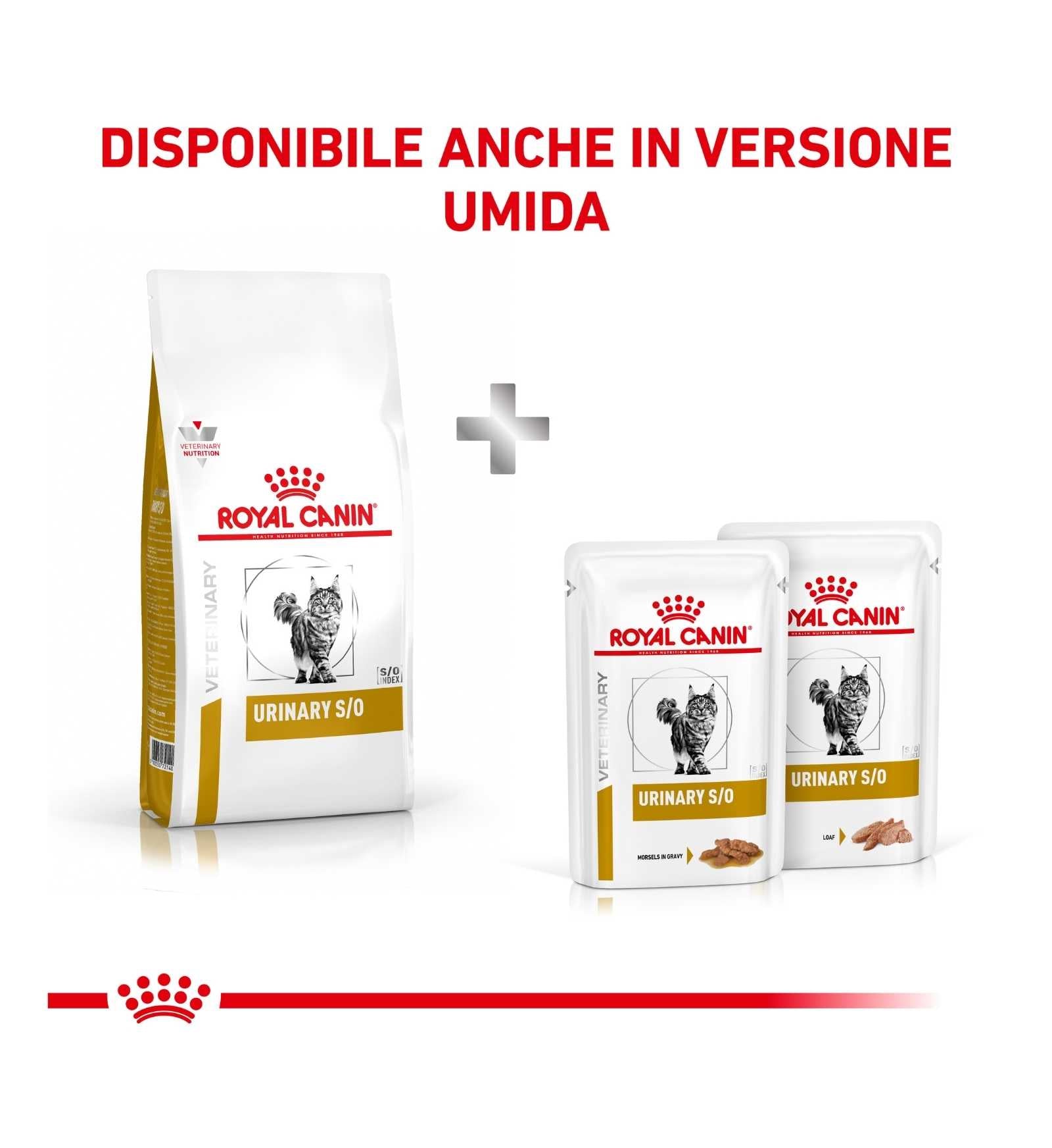 TODISC4074_6__Server-Mago_Mago4_Custom_Companies_ZOOEXPERT_SRL_Applications_ERP_Items_Files_Images_AllUsers_4094_39.jpg TODISC4074 picture