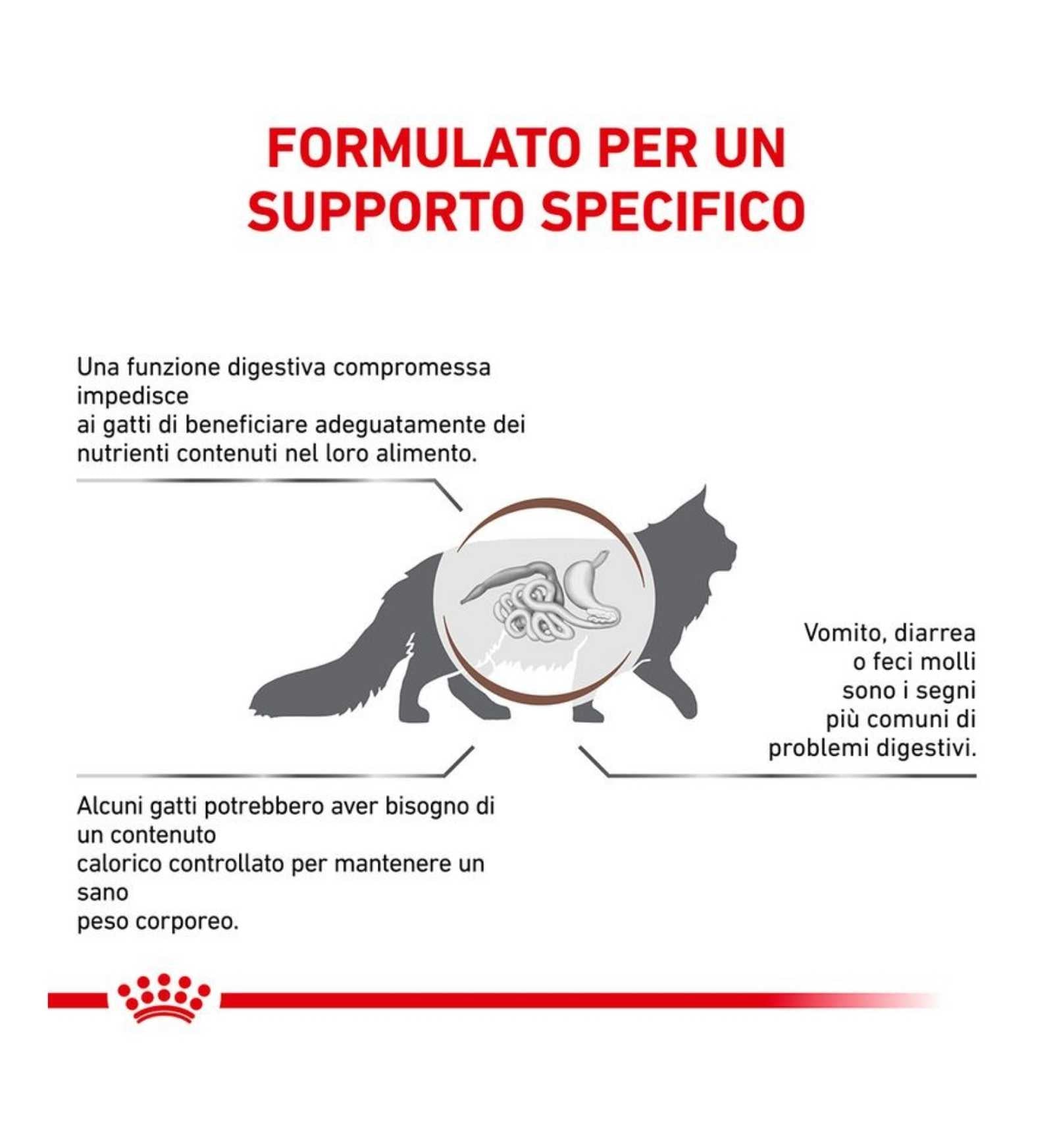TODISC4113_01_4__Server-Mago_Mago4_Custom_Companies_ZOOEXPERT_SRL_Applications_ERP_Items_Files_Images_AllUsers_4113_17.jpg TODISC4113_01 picture