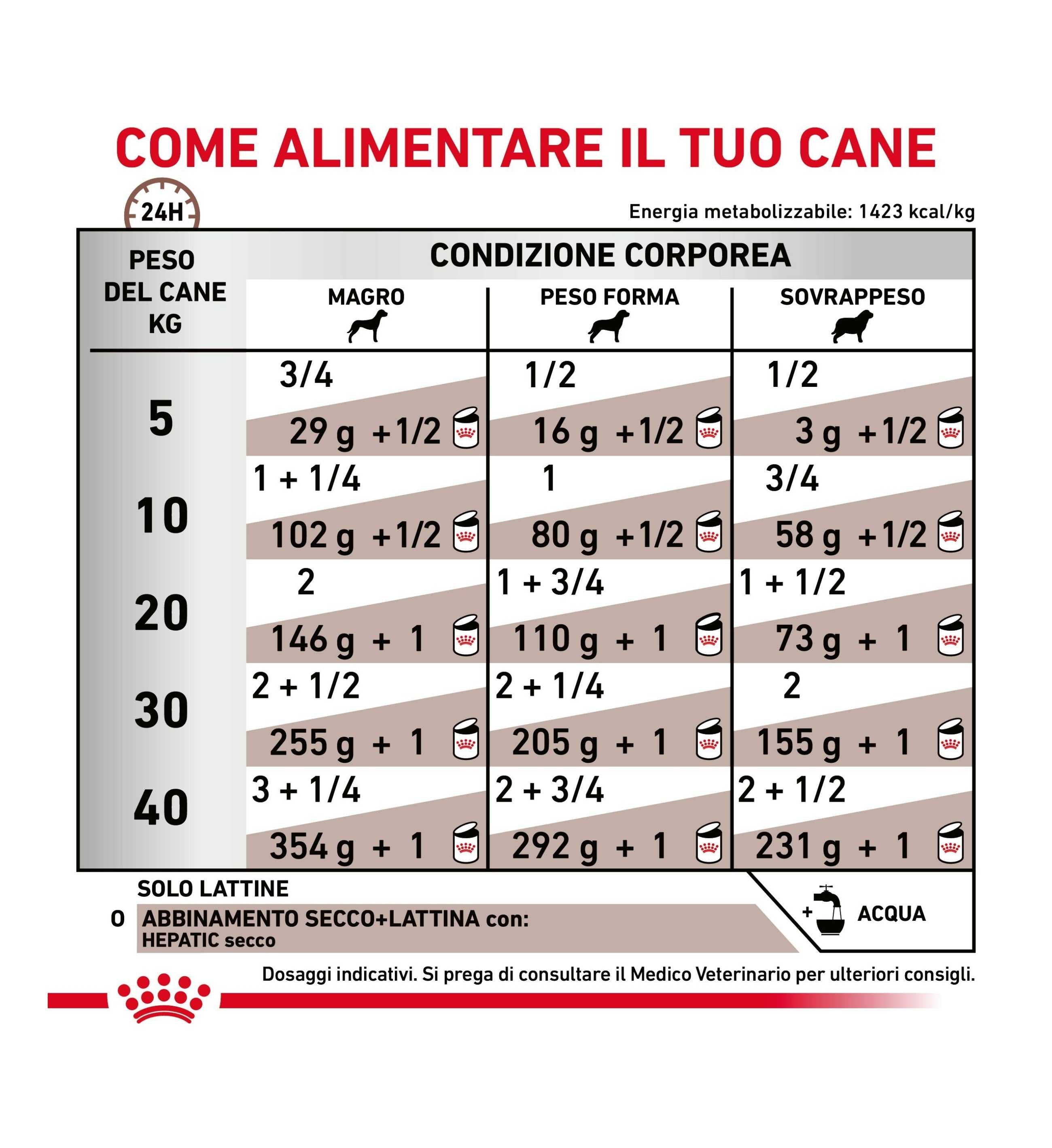 TODISC6004_4__Server-Mago_Mago4_Custom_Companies_ZOOEXPERT_SRL_Applications_ERP_Items_Files_Images_AllUsers_6072_30.jpg TODISC6004 picture