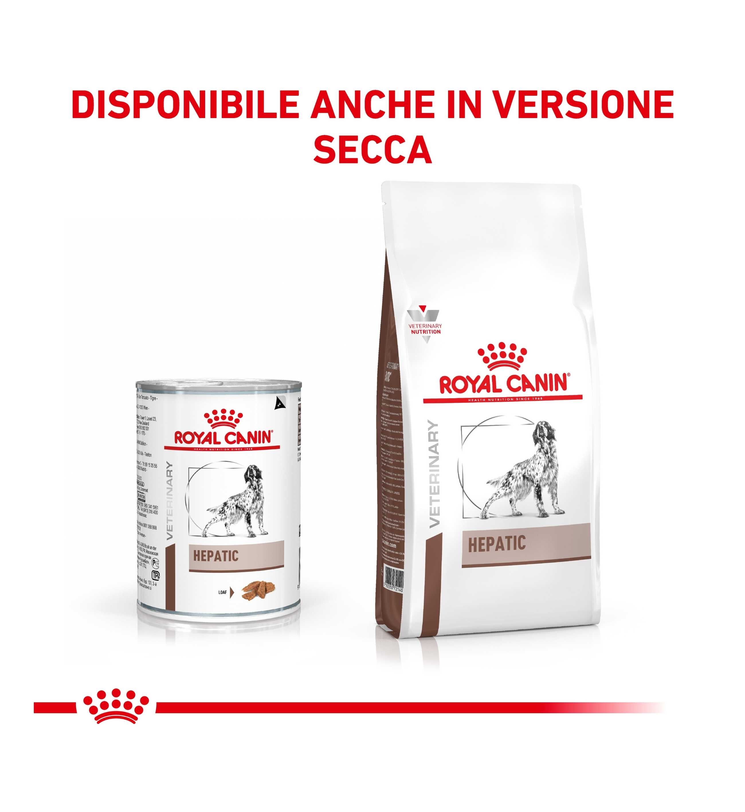 TODISC6004_5__Server-Mago_Mago4_Custom_Companies_ZOOEXPERT_SRL_Applications_ERP_Items_Files_Images_AllUsers_6072_39.jpg TODISC6004 picture