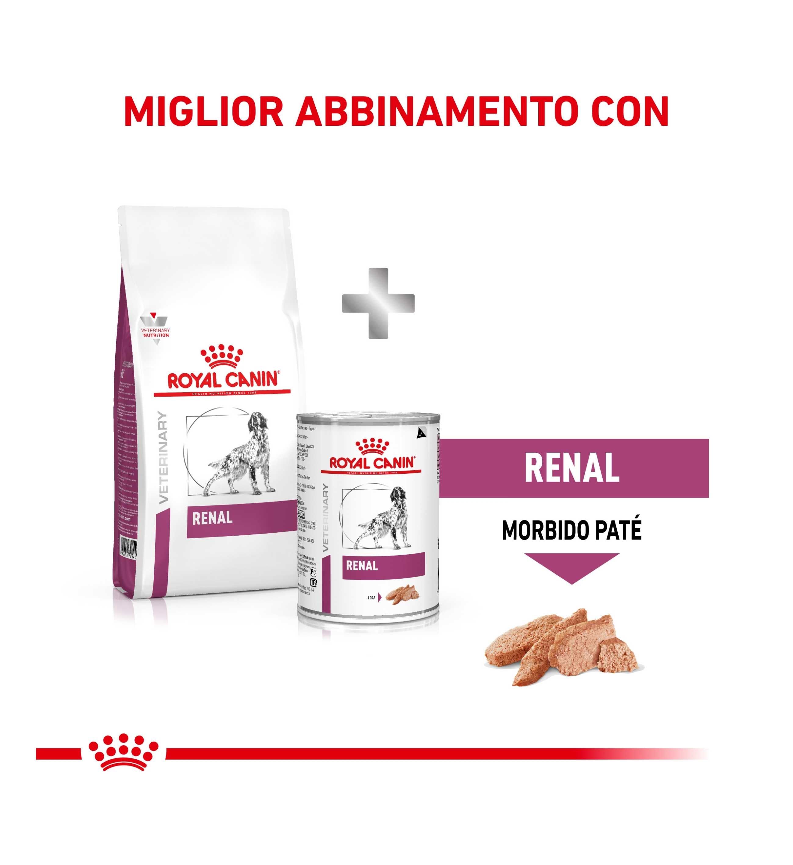 TODISC6035_6__Server-Mago_Mago4_Custom_Companies_ZOOEXPERT_SRL_Applications_ERP_Items_Files_Images_AllUsers_6075_39.jpg TODISC6035 picture