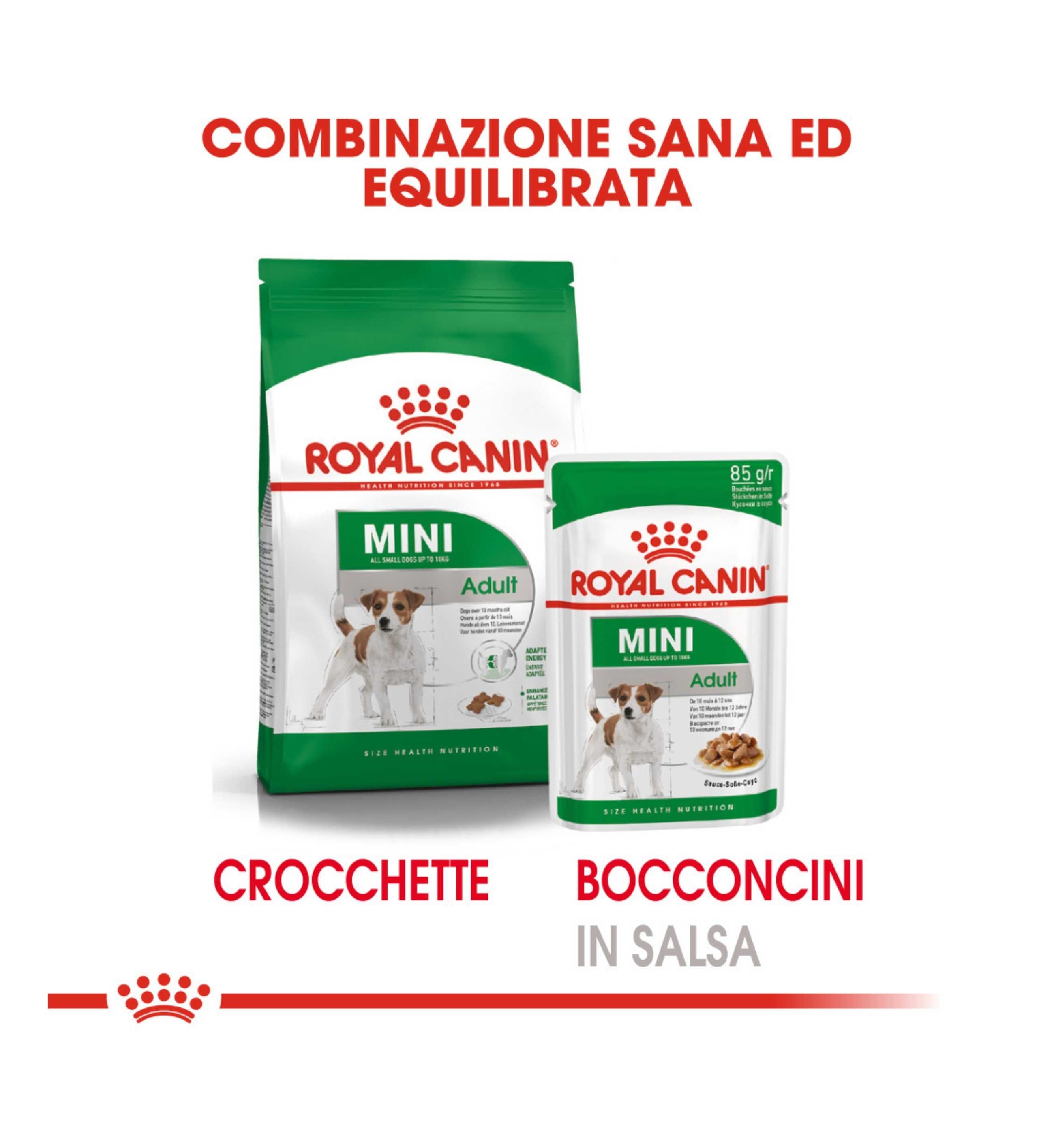 TODISC6047_01_9__Server-Mago_Mago4_Custom_Companies_ZOOEXPERT_SRL_Applications_ERP_Items_Files_Images_AllUsers_6047_39.jpg TODISC6047_01 picture