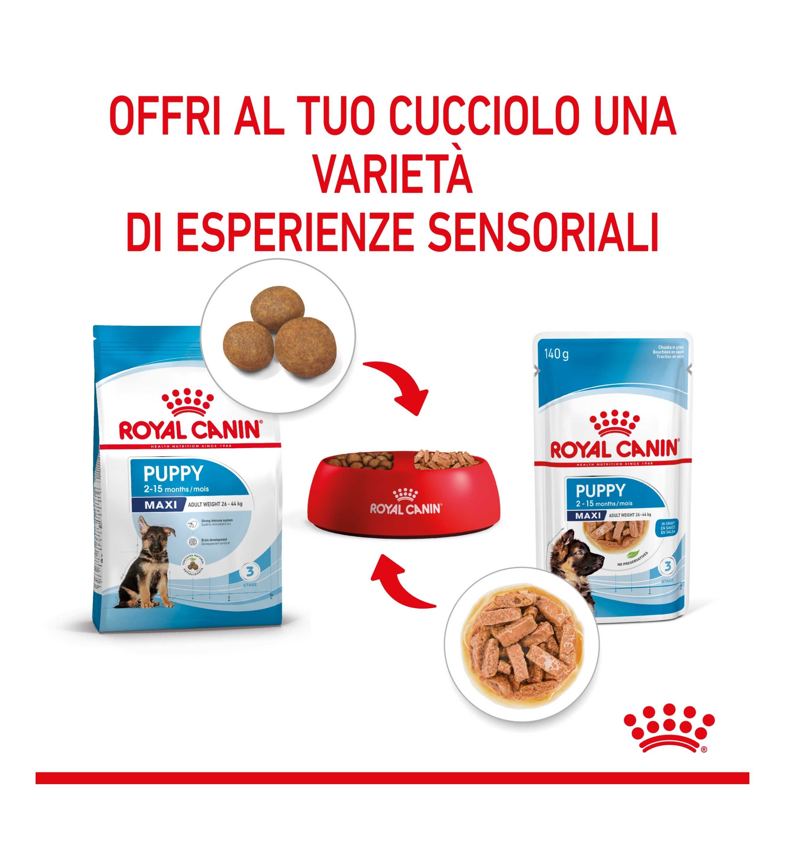TODISC6048_9__Server-Mago_Mago4_Custom_Companies_ZOOEXPERT_SRL_Applications_ERP_Items_Files_Images_AllUsers_6082_39.jpg TODISC6048 picture