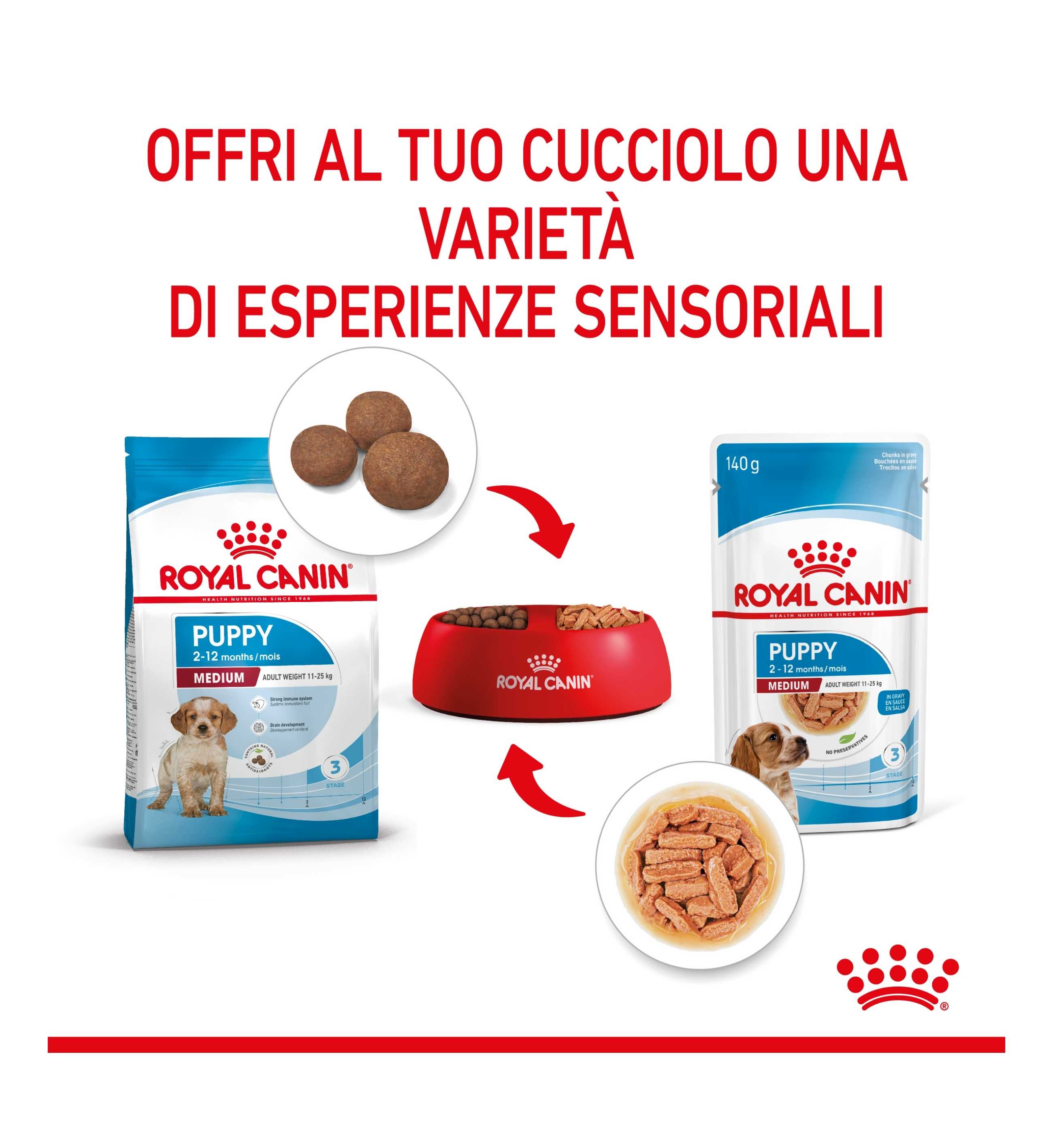TODISC6049_9__Server-Mago_Mago4_Custom_Companies_ZOOEXPERT_SRL_Applications_ERP_Items_Files_Images_AllUsers_6083_39.jpg TODISC6049 picture