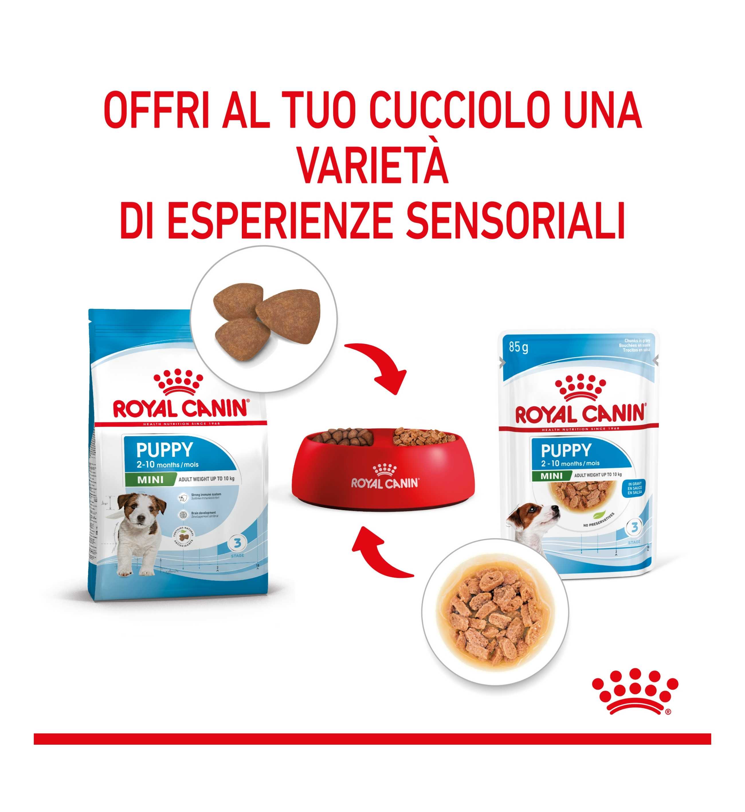 TODISC6050_9__Server-Mago_Mago4_Custom_Companies_ZOOEXPERT_SRL_Applications_ERP_Items_Files_Images_AllUsers_6084_39.jpg TODISC6050 picture